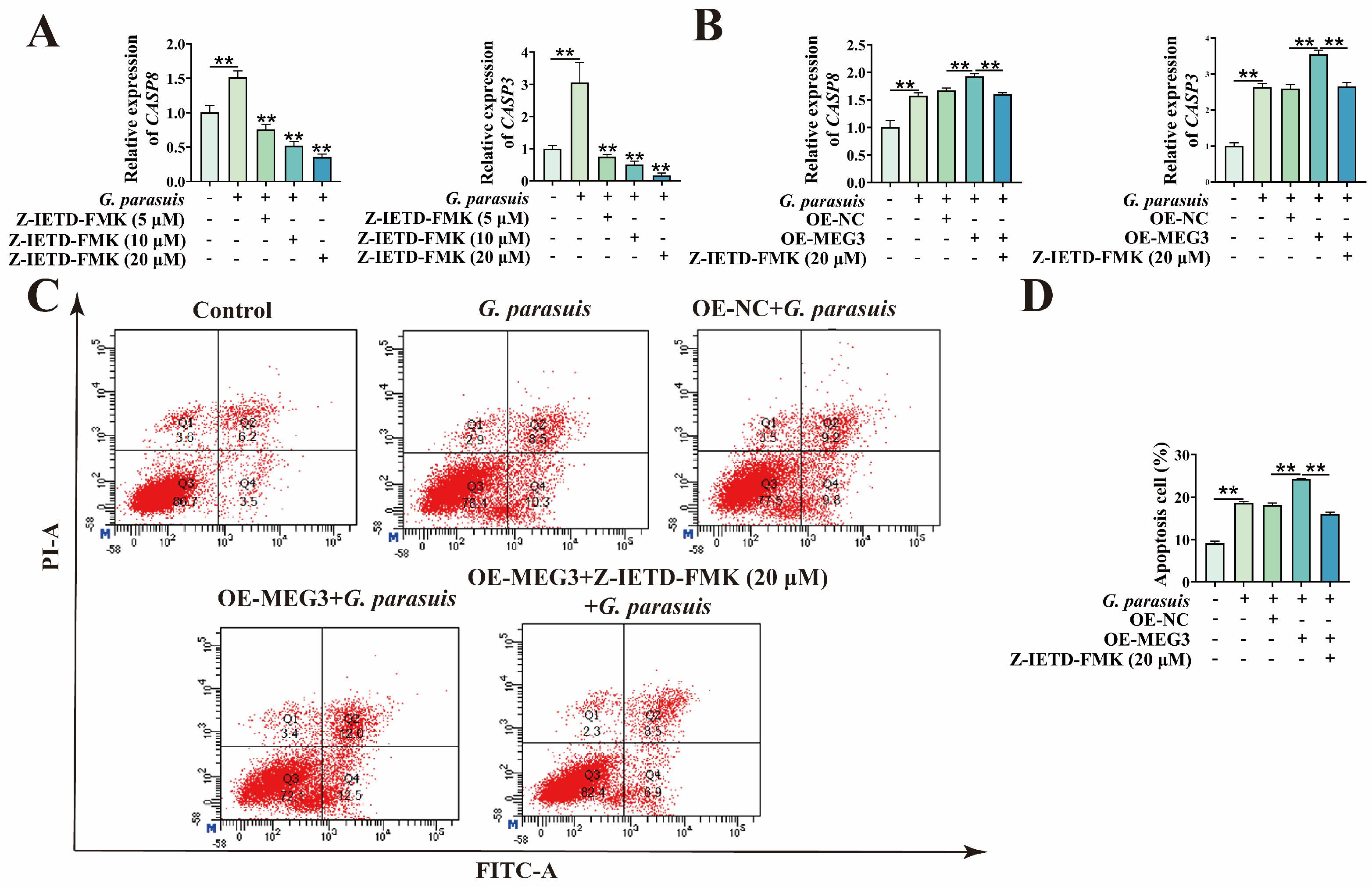 Microorganisms 13 02287 g002 Microorganisms 13 02287 g002