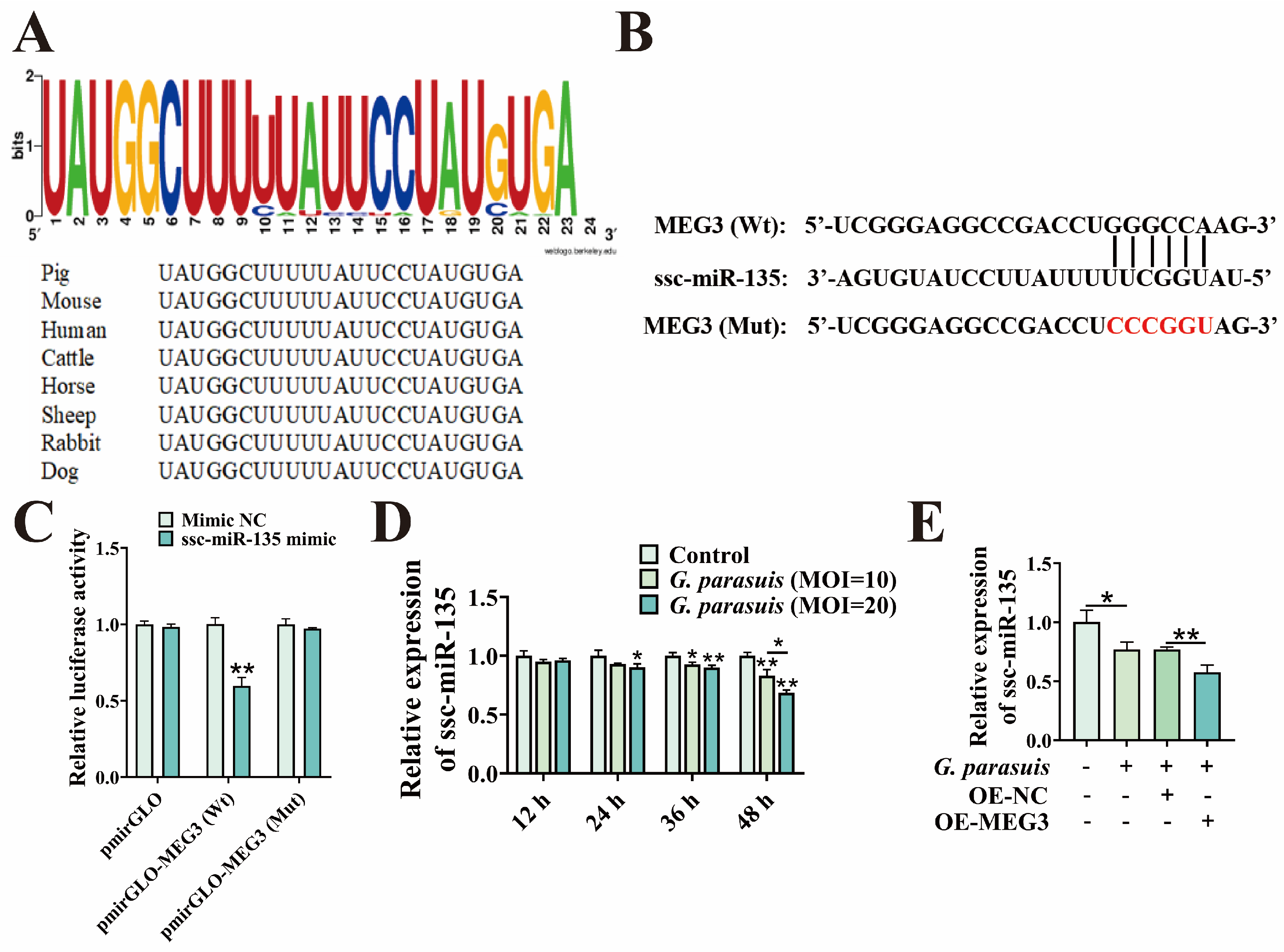 Microorganisms 13 02287 g003 Microorganisms 13 02287 g003