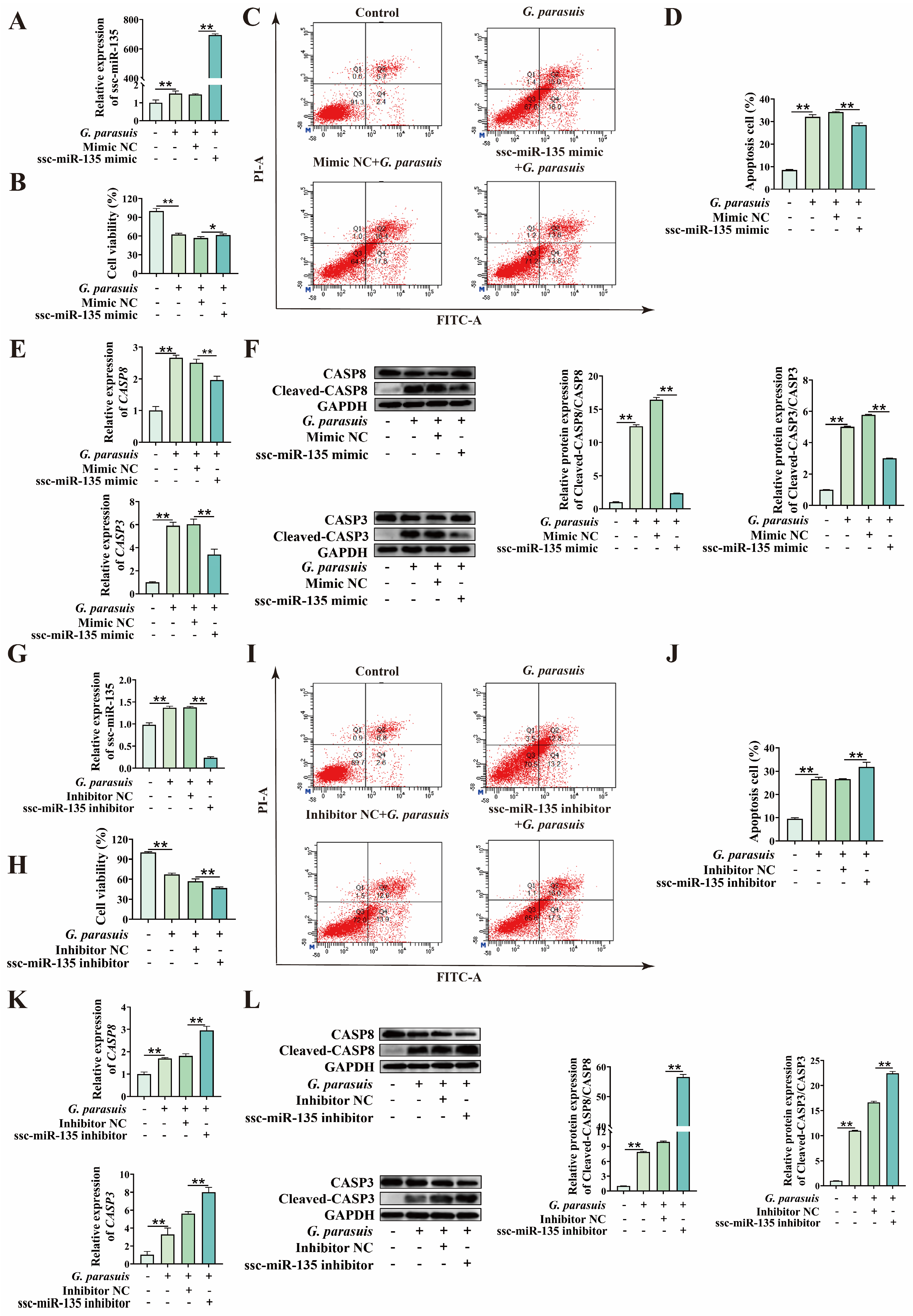 Microorganisms 13 02287 g004 Microorganisms 13 02287 g004