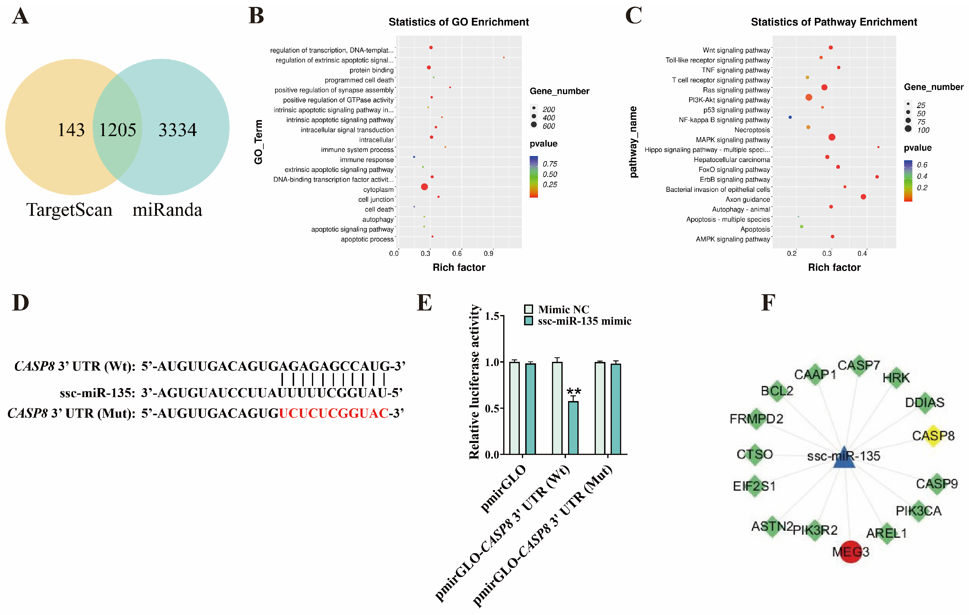 Microorganisms 13 02287 g005 Microorganisms 13 02287 g005