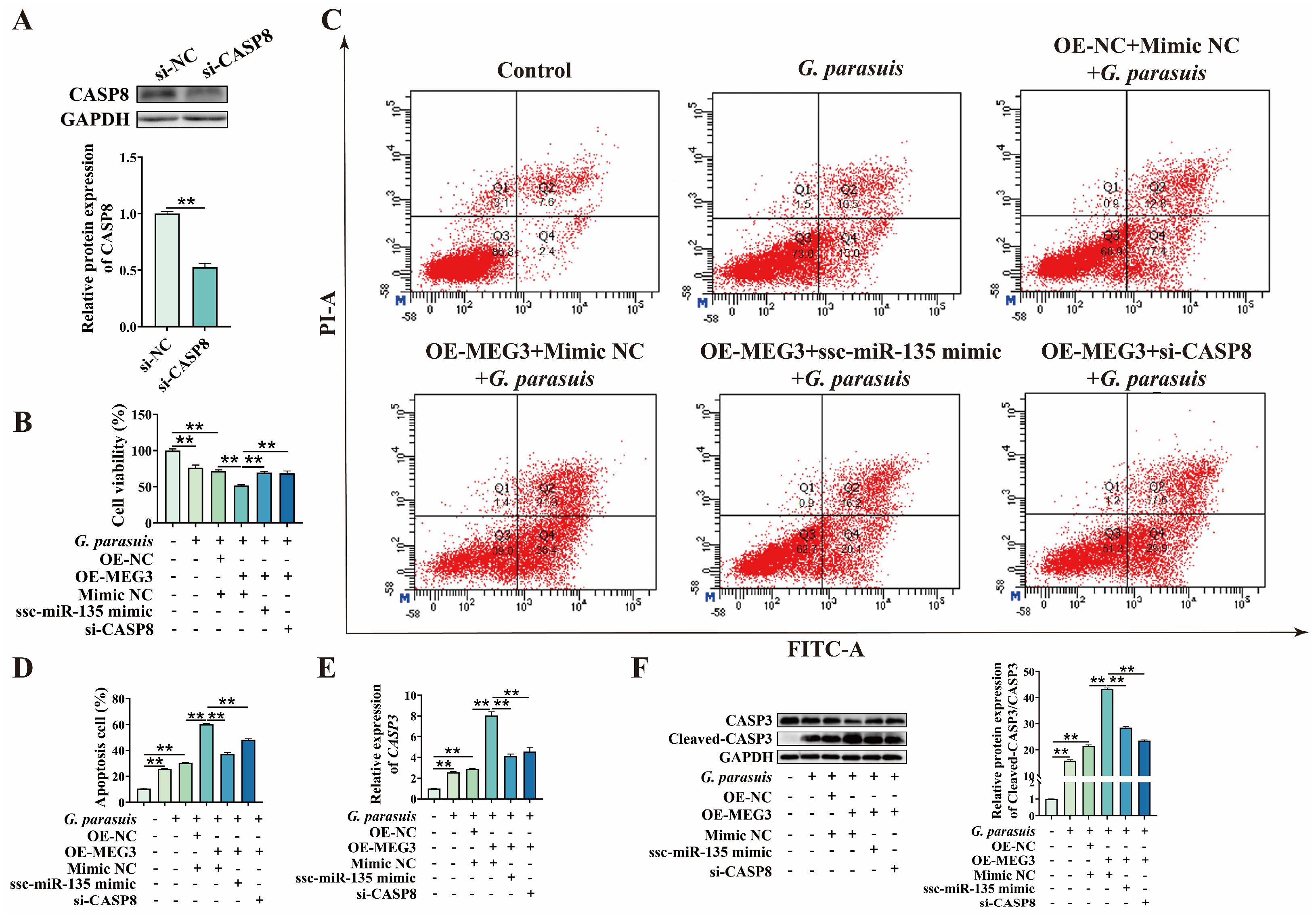 Microorganisms 13 02287 g007 Microorganisms 13 02287 g007
