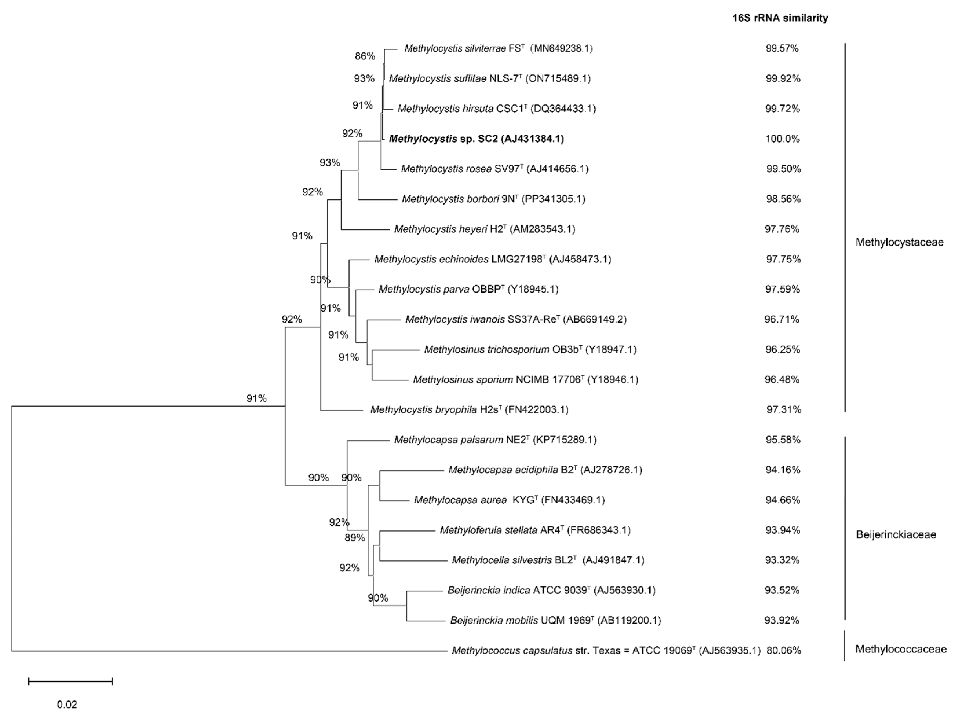 Microorganisms 13 02309 g001 Microorganisms 13 02309 g001