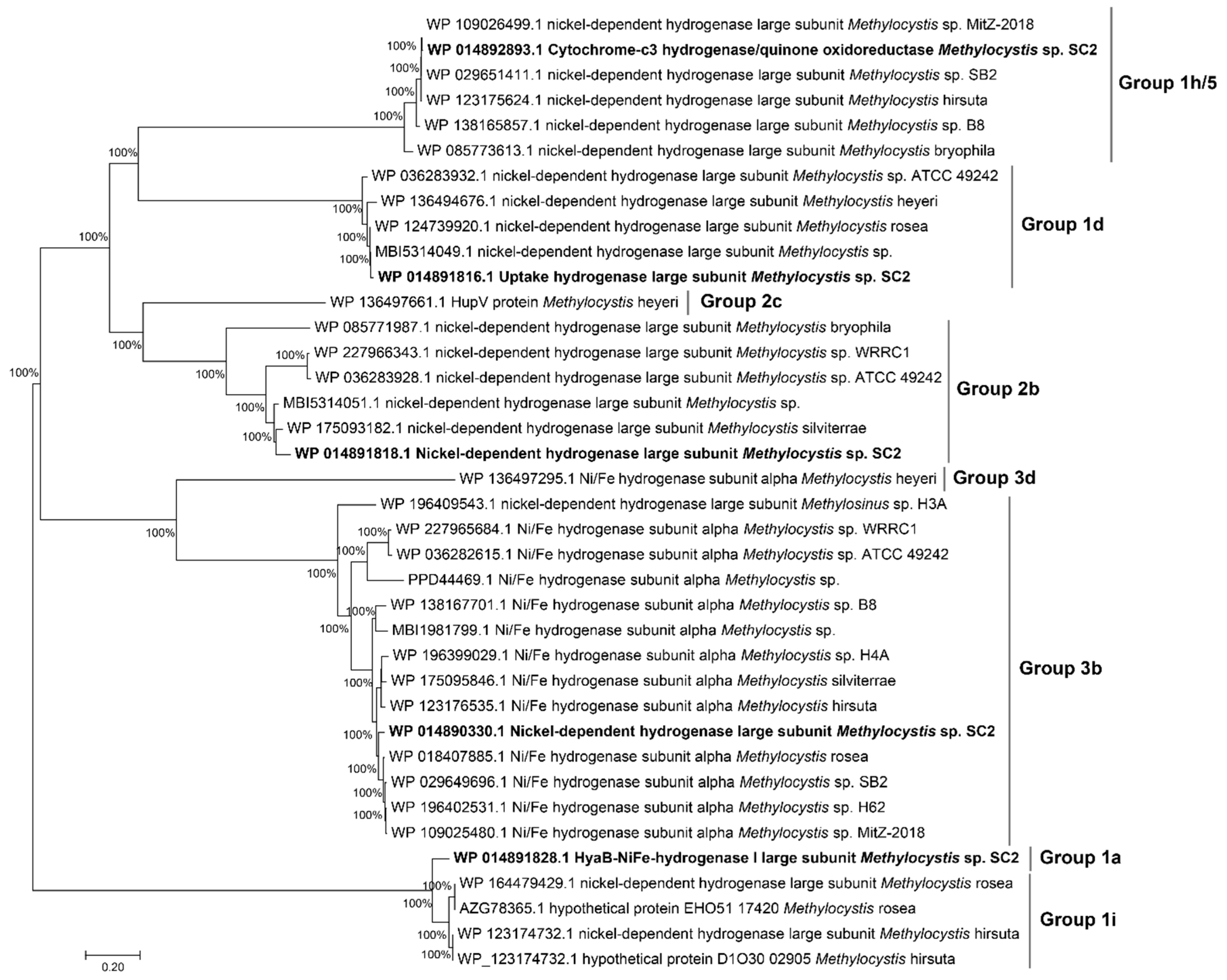 Microorganisms 13 02309 g004 Microorganisms 13 02309 g004