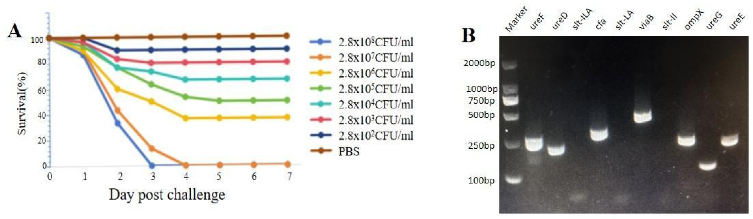 Microorganisms 13 02310 g002 Microorganisms 13 02310 g002