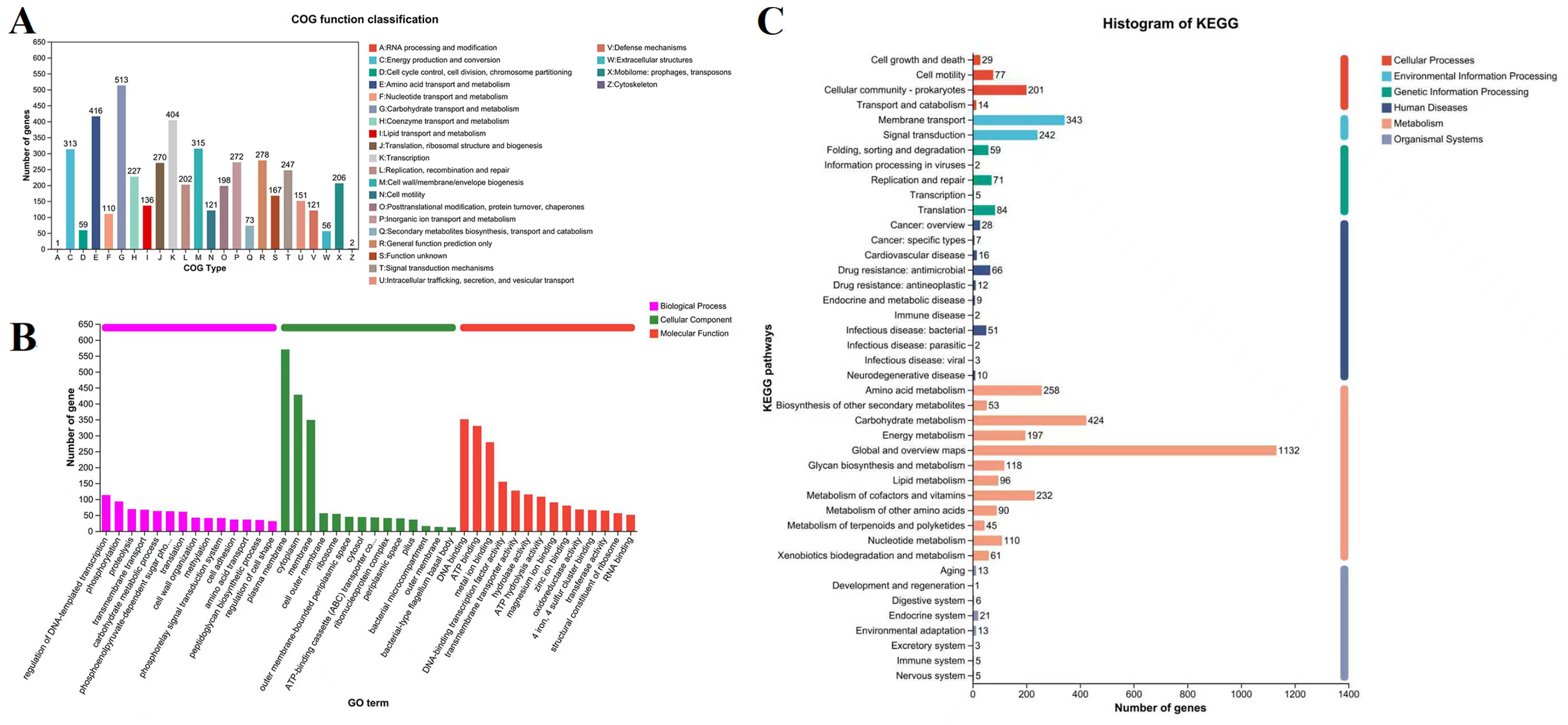 Microorganisms 13 02310 g004 Microorganisms 13 02310 g004