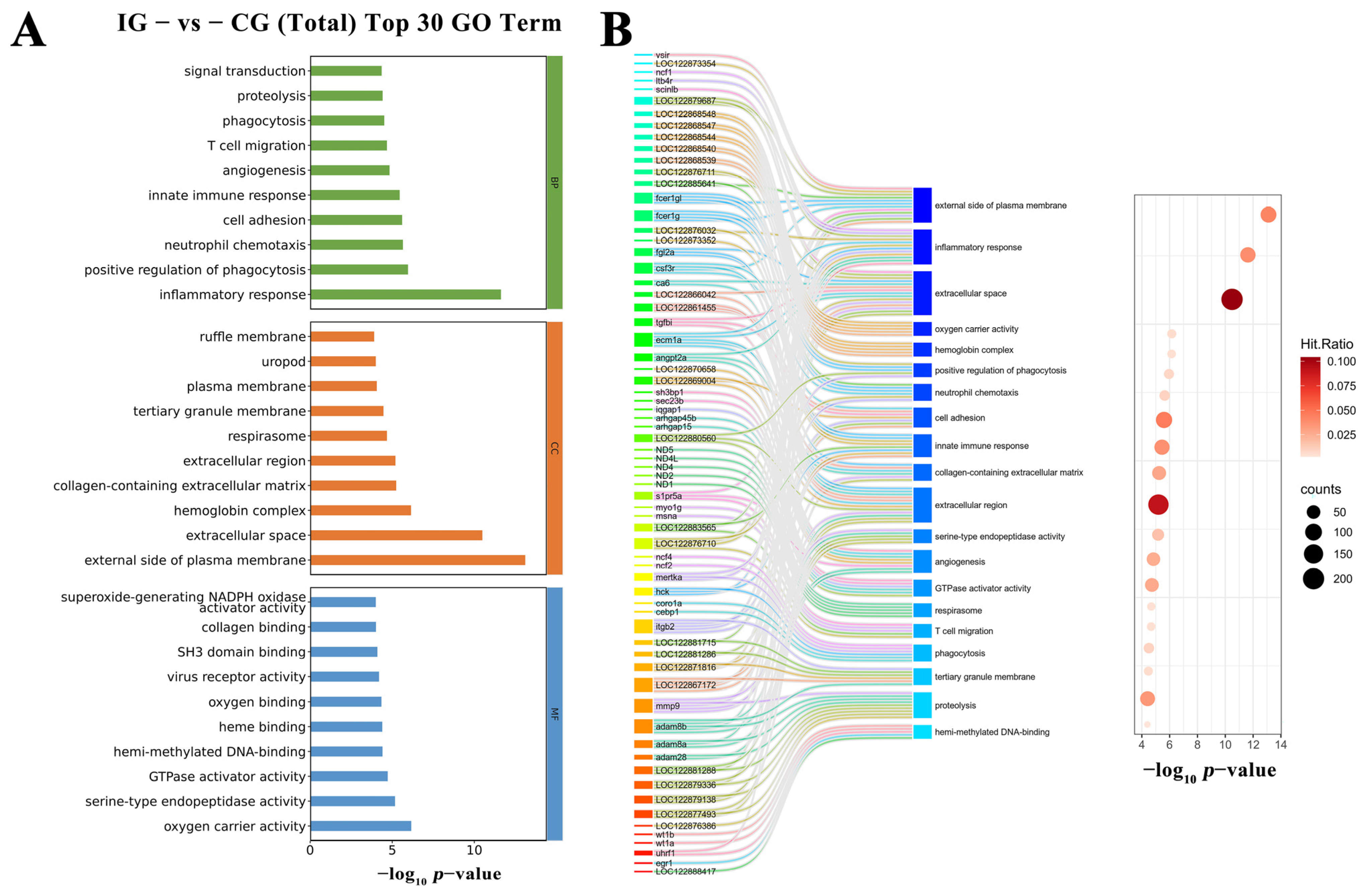 Microorganisms 13 02310 g010 Microorganisms 13 02310 g010