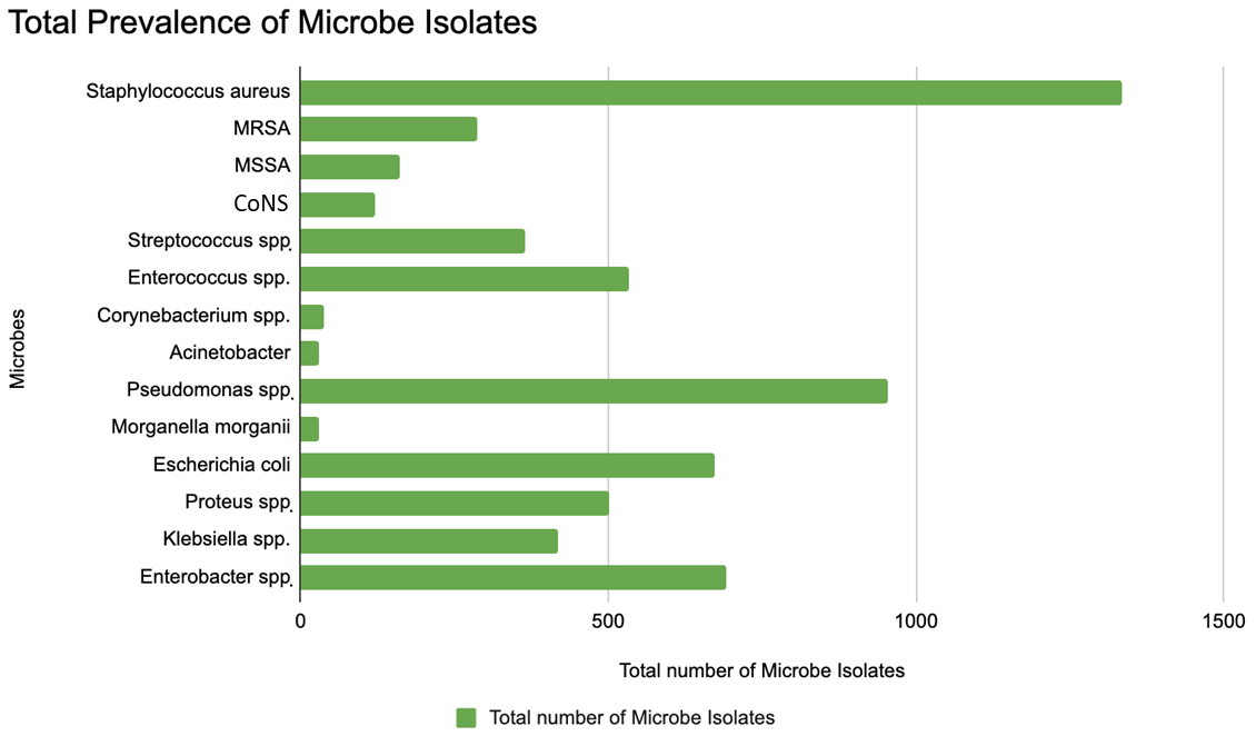 Microorganisms 13 02311 g004 Microorganisms 13 02311 g004