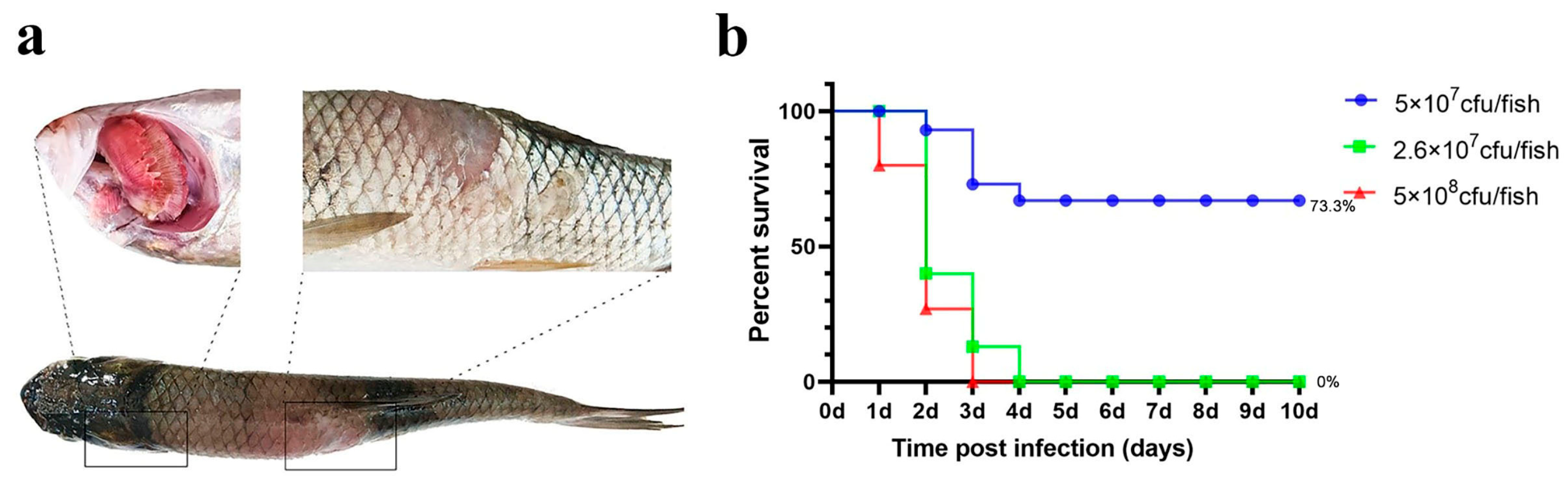 Microorganisms 13 02318 g004