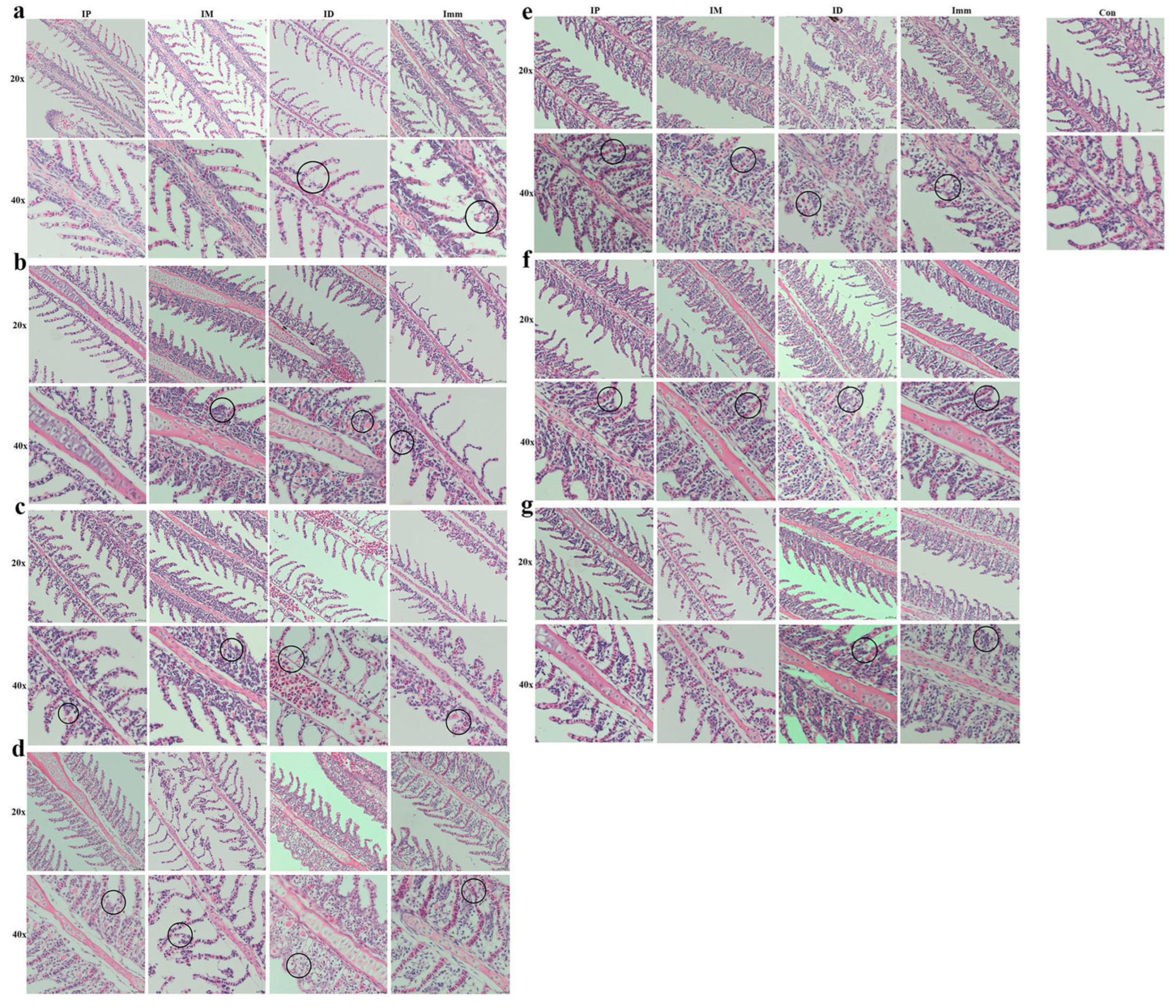 Microorganisms 13 02318 g006