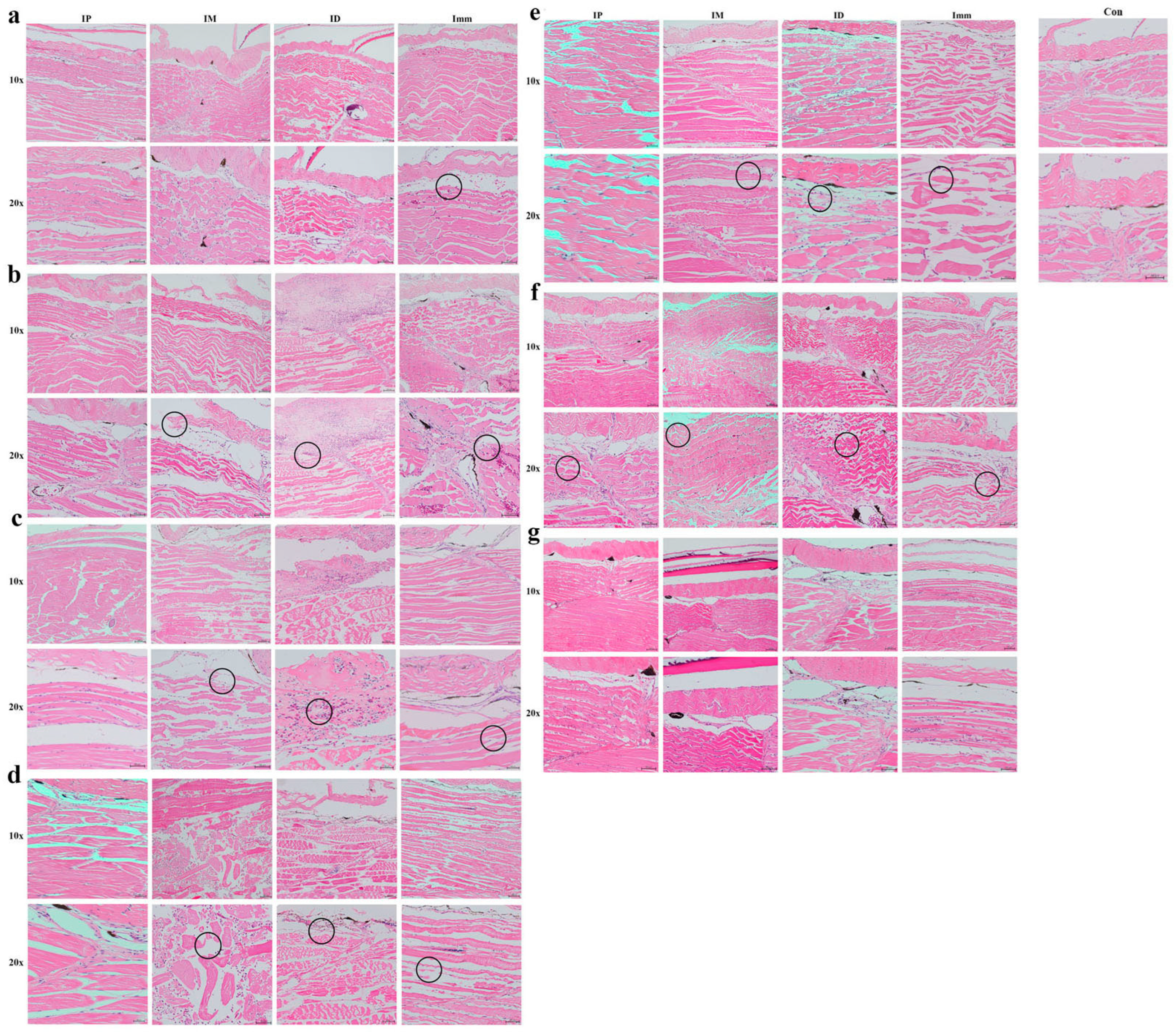 Microorganisms 13 02318 g007