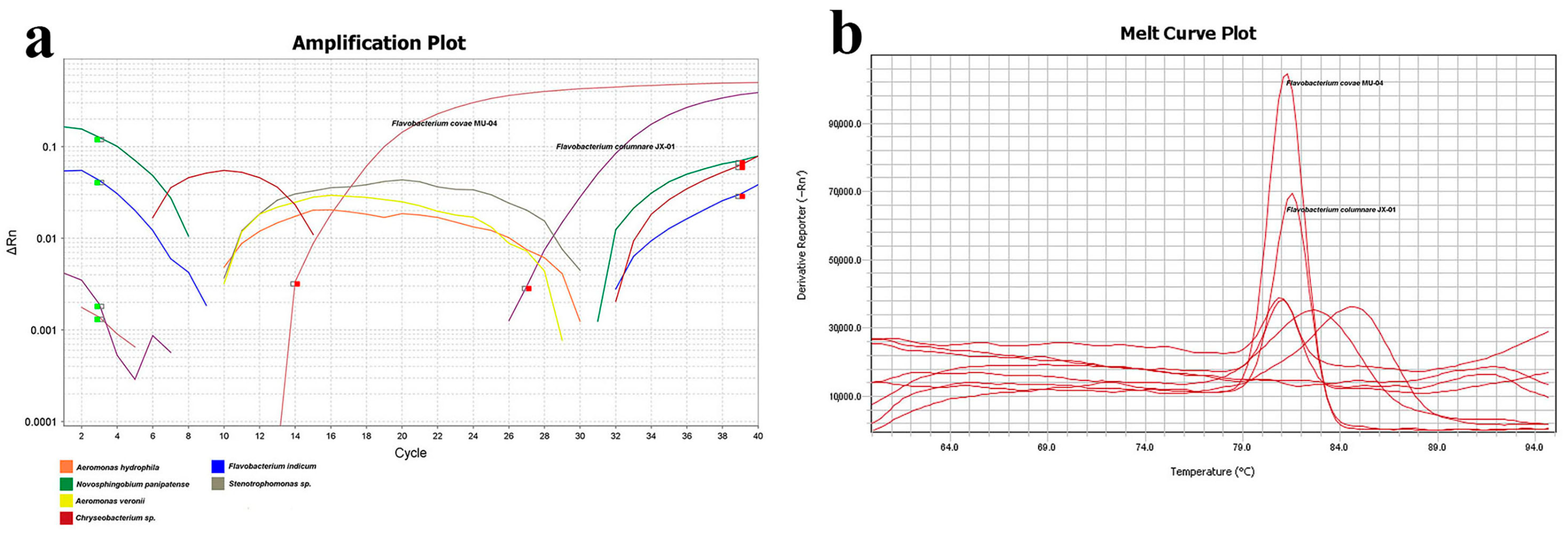 Microorganisms 13 02318 g009