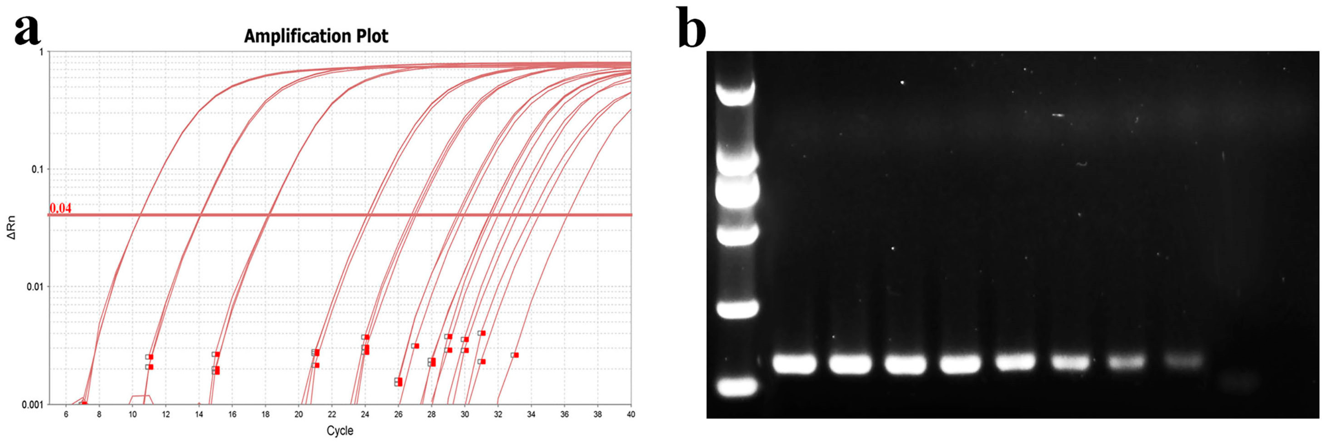 Microorganisms 13 02318 g010