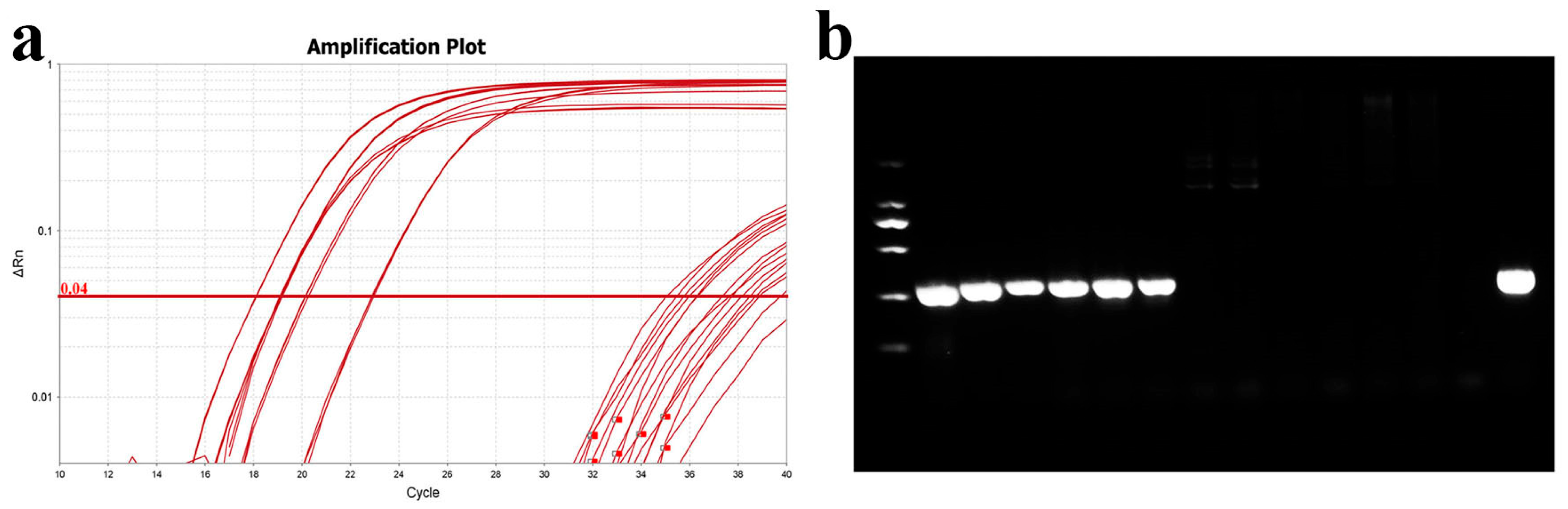 Microorganisms 13 02318 g011