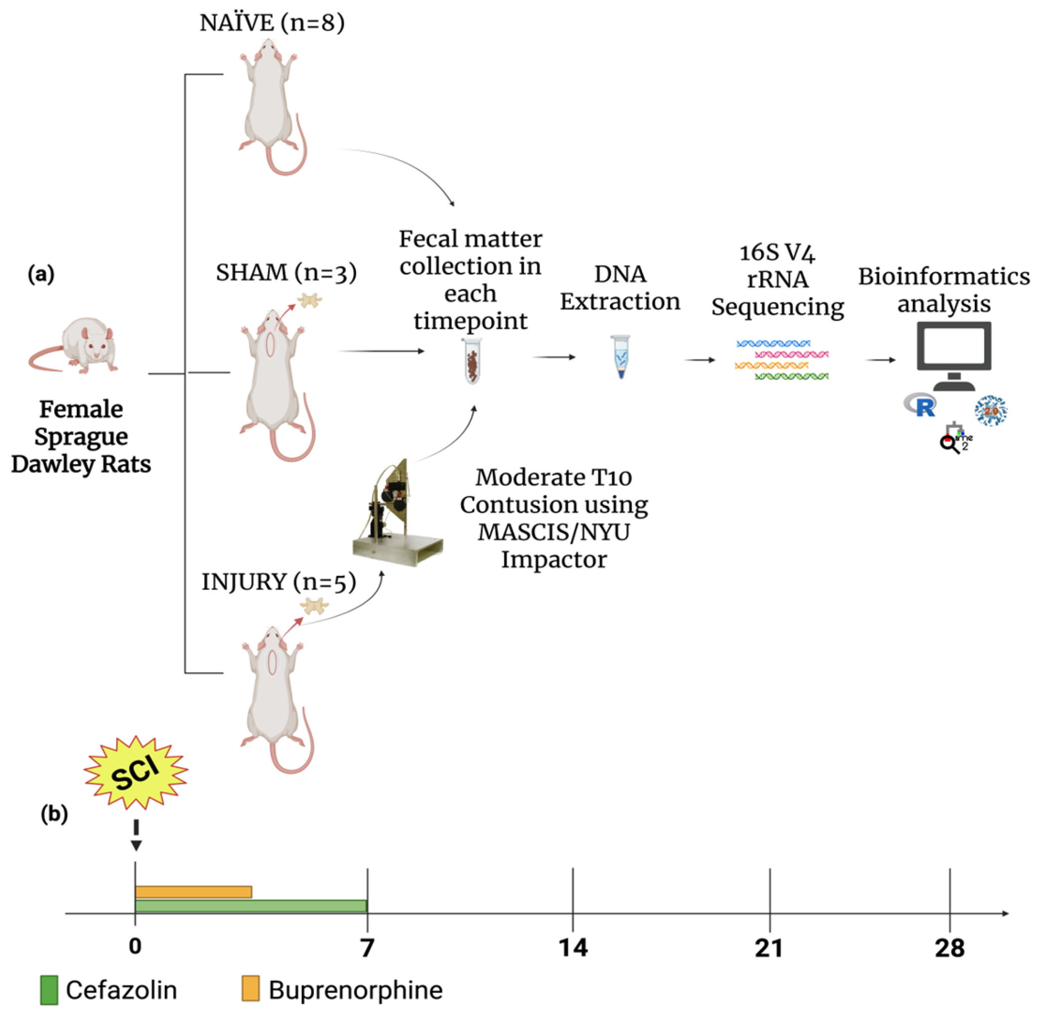 Microorganisms 13 02324 g001 Microorganisms 13 02324 g001