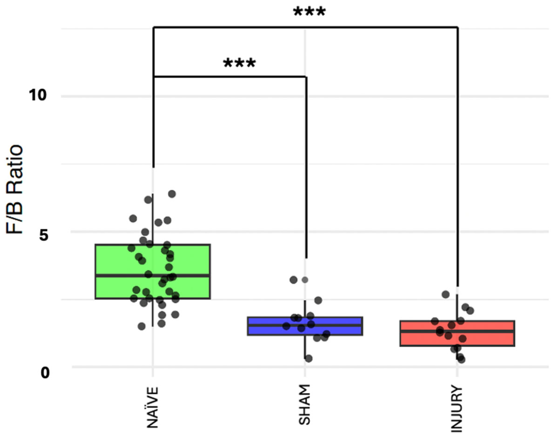 Microorganisms 13 02324 g004 Microorganisms 13 02324 g004