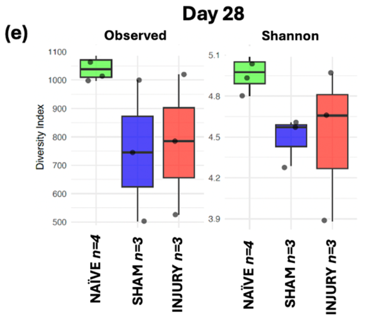 Microorganisms 13 02324 g006b Microorganisms 13 02324 g006b