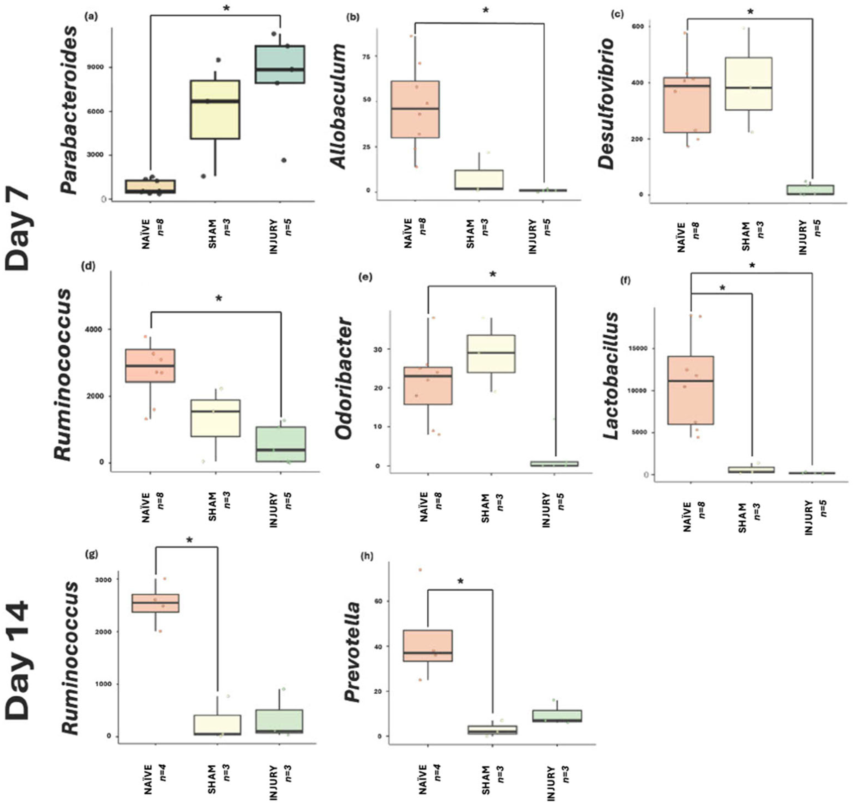 Microorganisms 13 02324 g008 Microorganisms 13 02324 g008