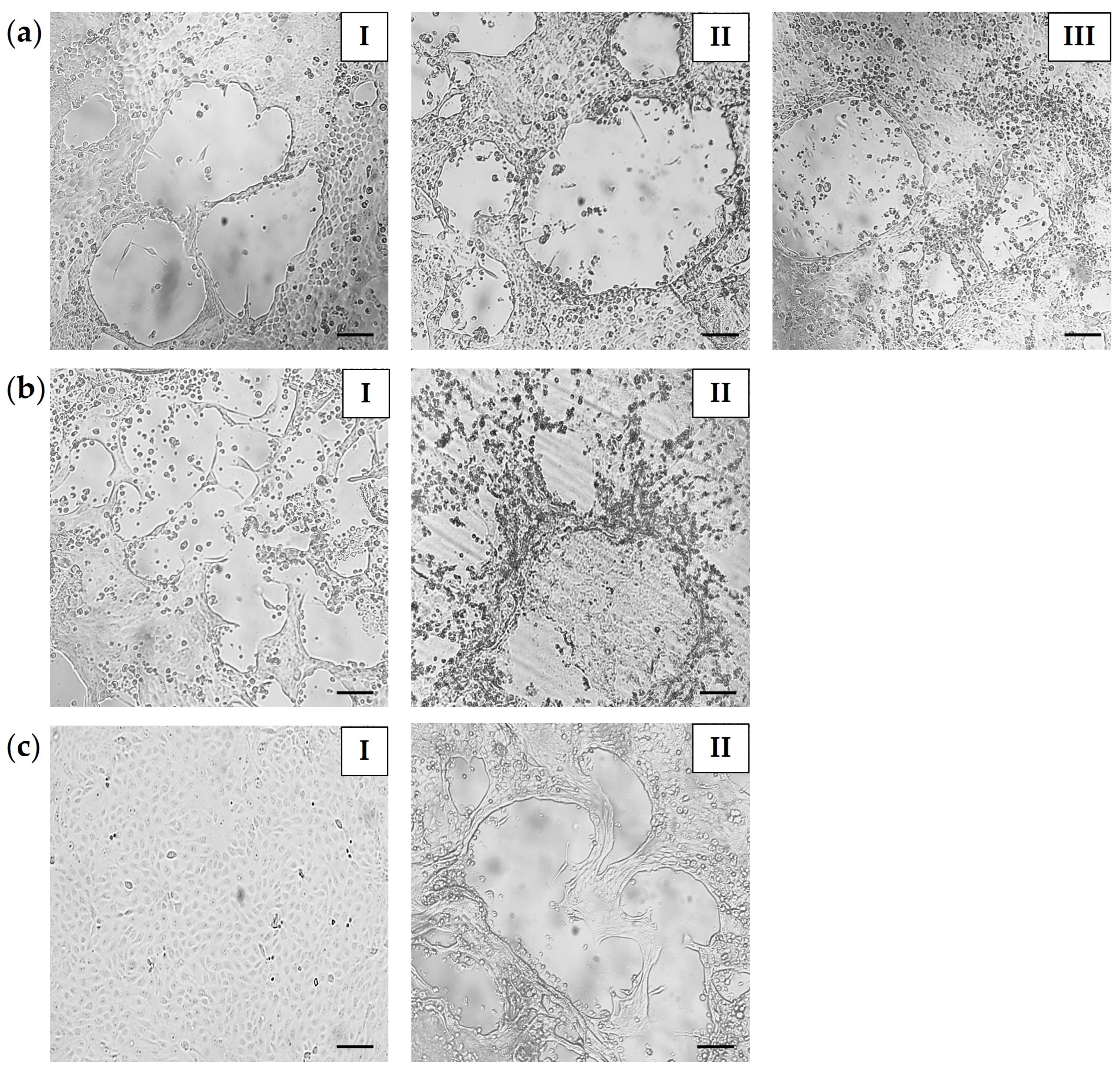 Microorganisms 13 02325 g003 Microorganisms 13 02325 g003