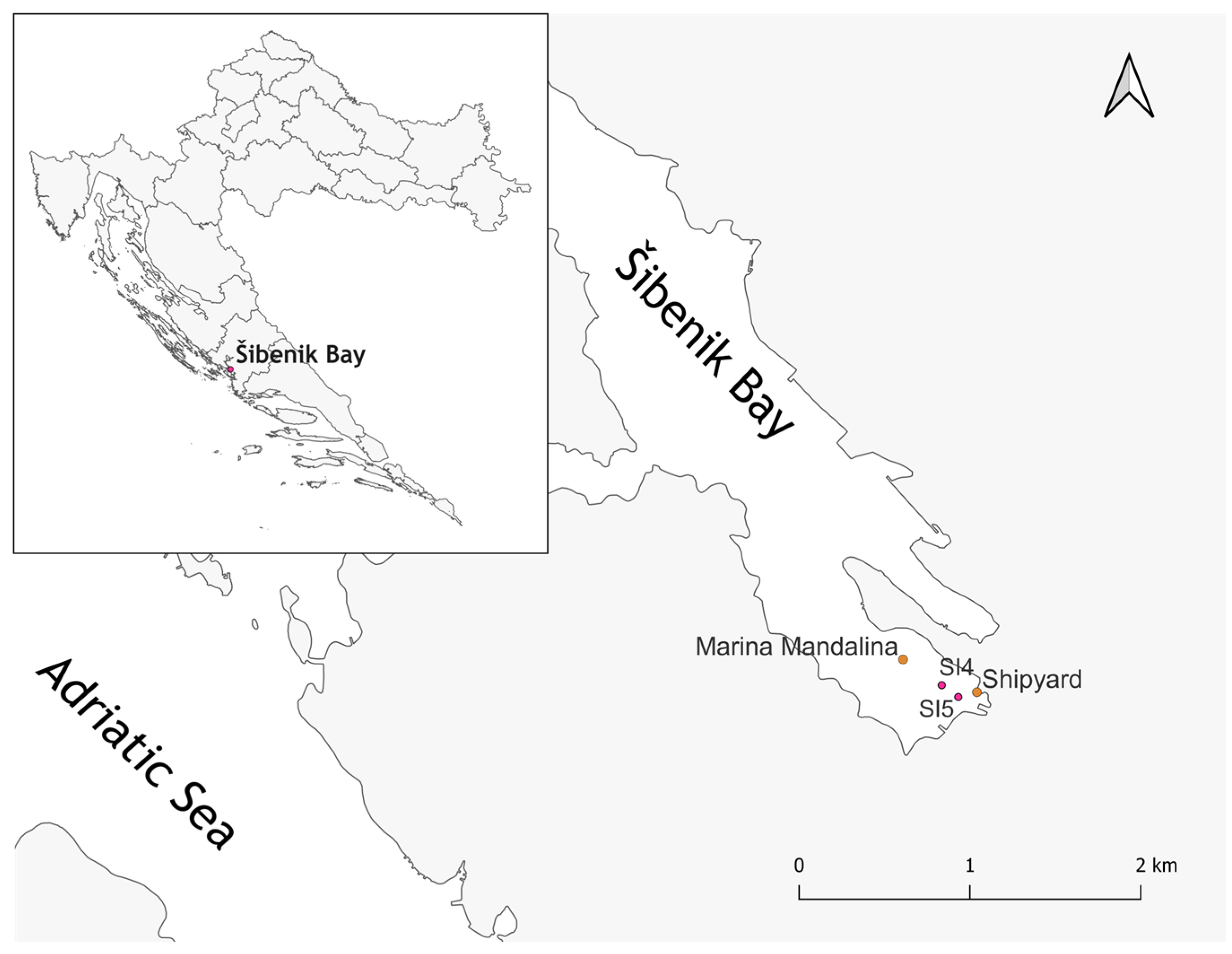 Microorganisms 13 02326 g001 Microorganisms 13 02326 g001