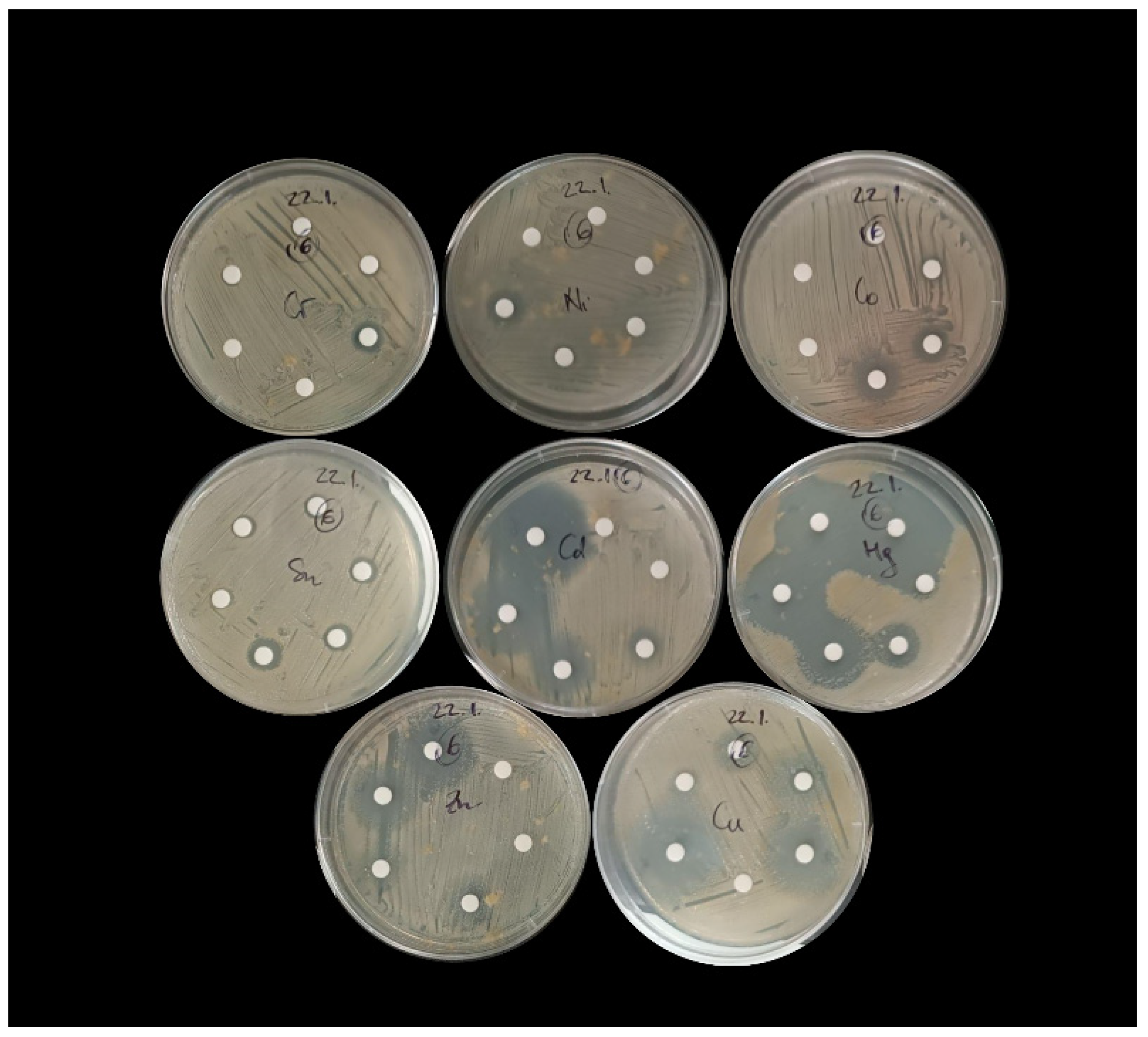 Microorganisms 13 02326 g002 Microorganisms 13 02326 g002