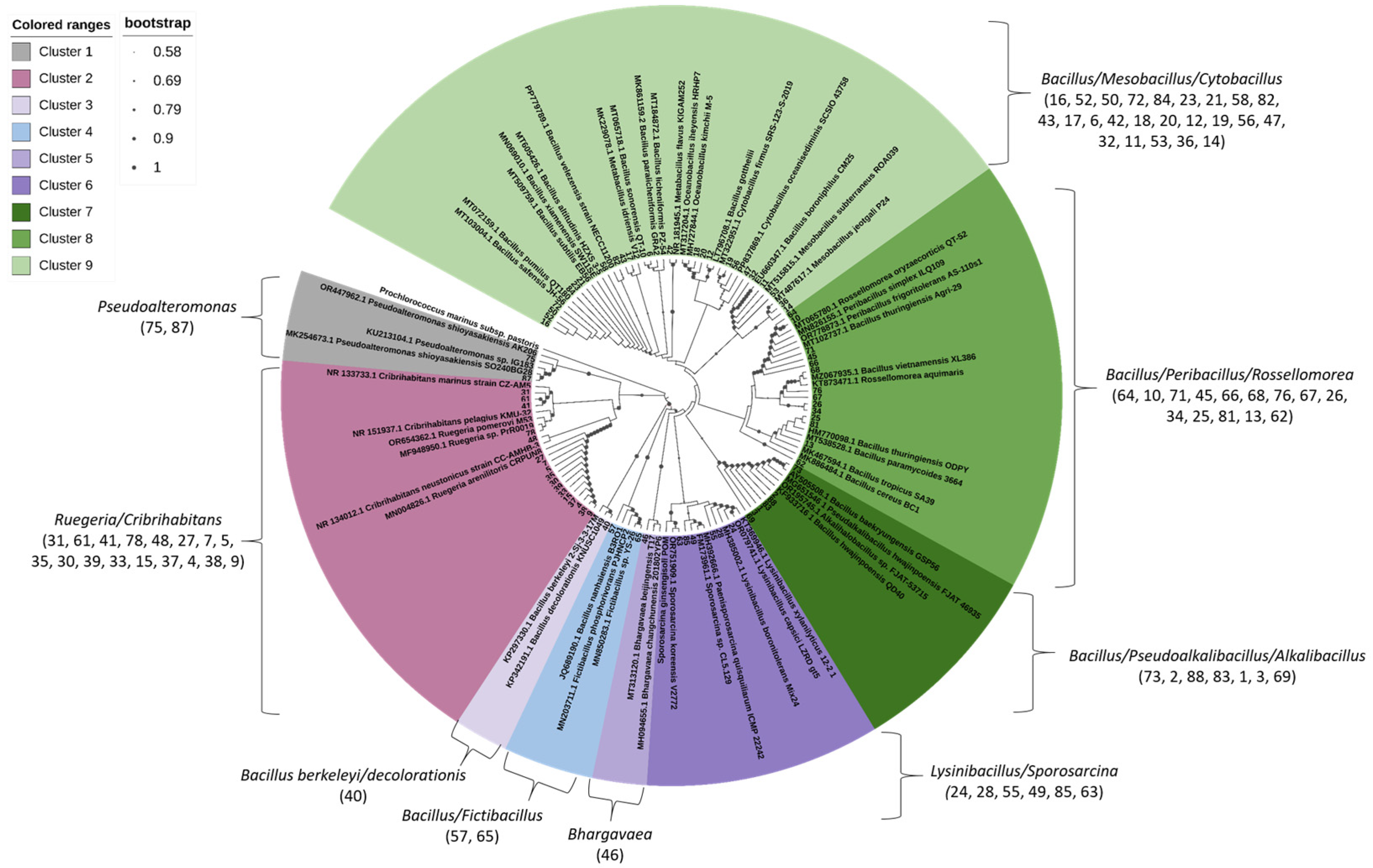 Microorganisms 13 02326 g005 Microorganisms 13 02326 g005