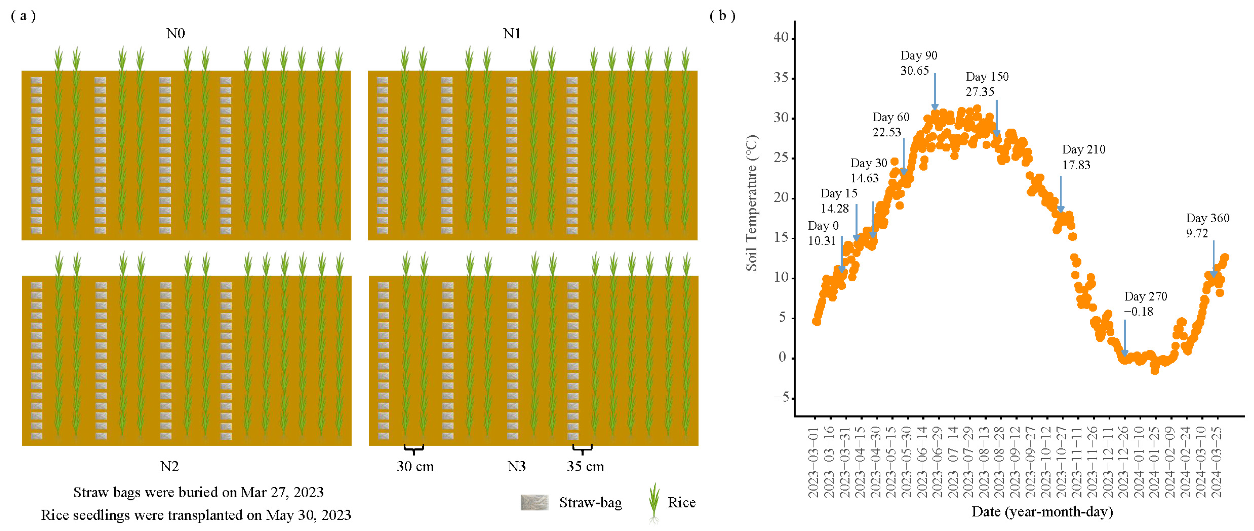 Microorganisms 13 02333 g001