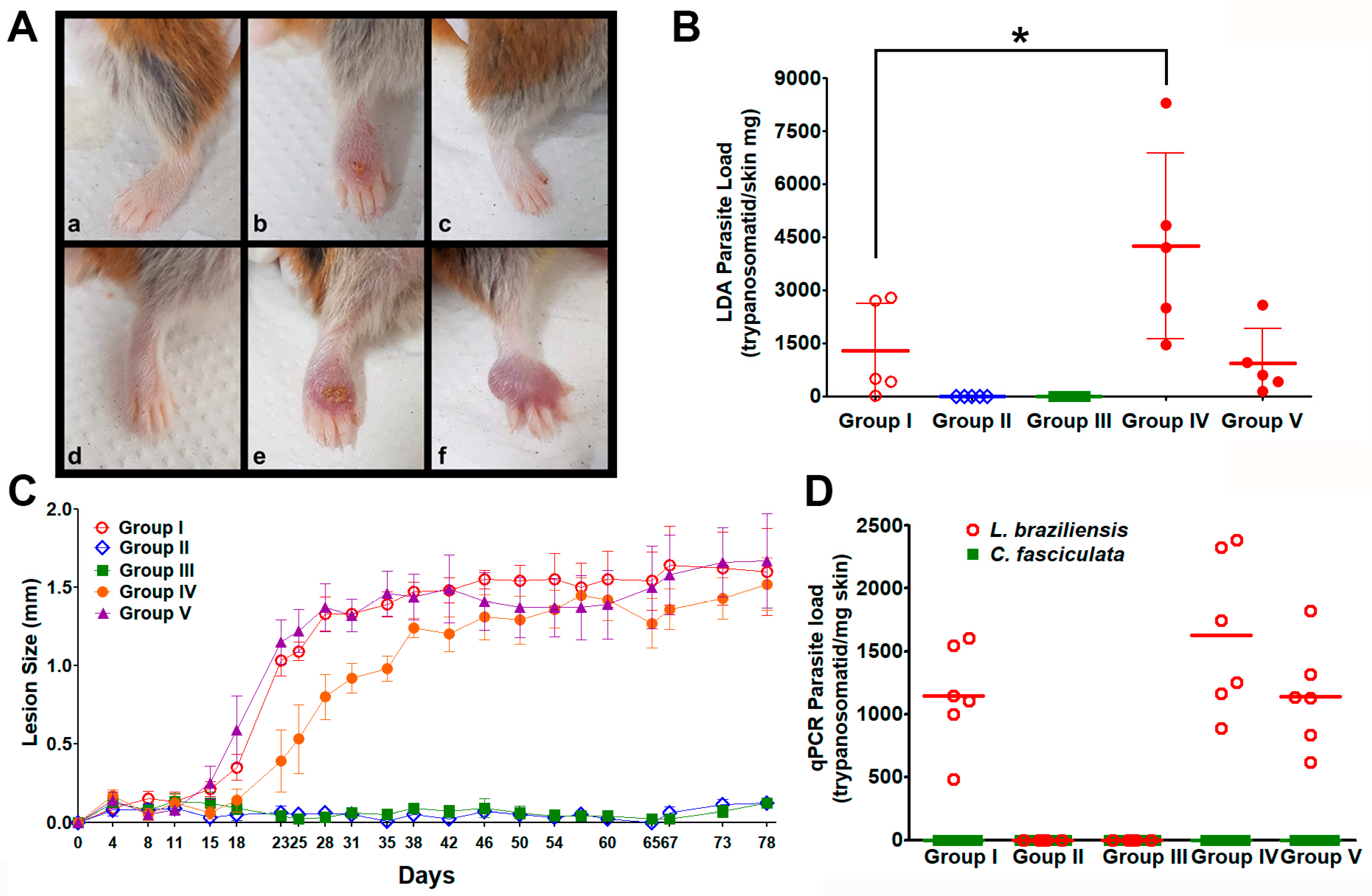 Microorganisms 13 02335 g006 Microorganisms 13 02335 g006