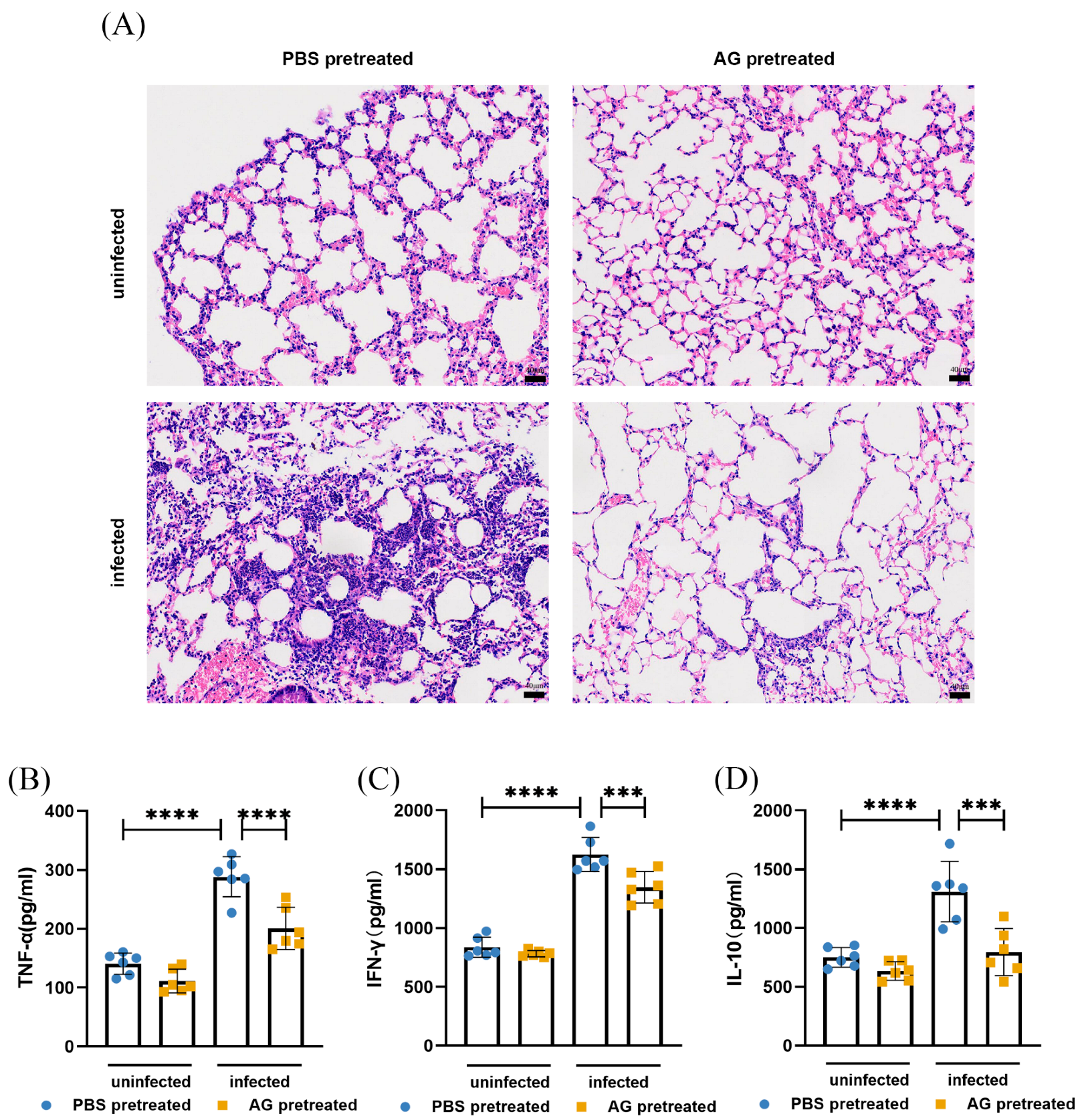 Microorganisms 13 02336 g003 Microorganisms 13 02336 g003