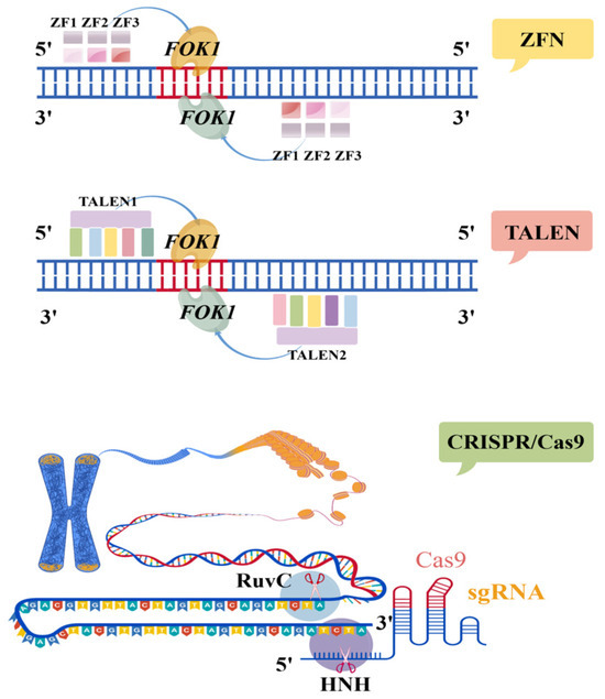Key Technologies of Synthetic Biology in Industrial Microbiology