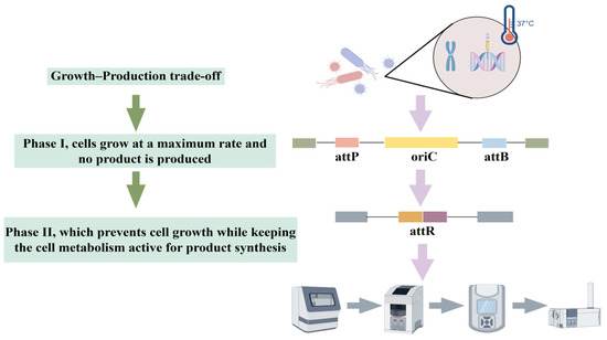 Key Technologies of Synthetic Biology in Industrial Microbiology
