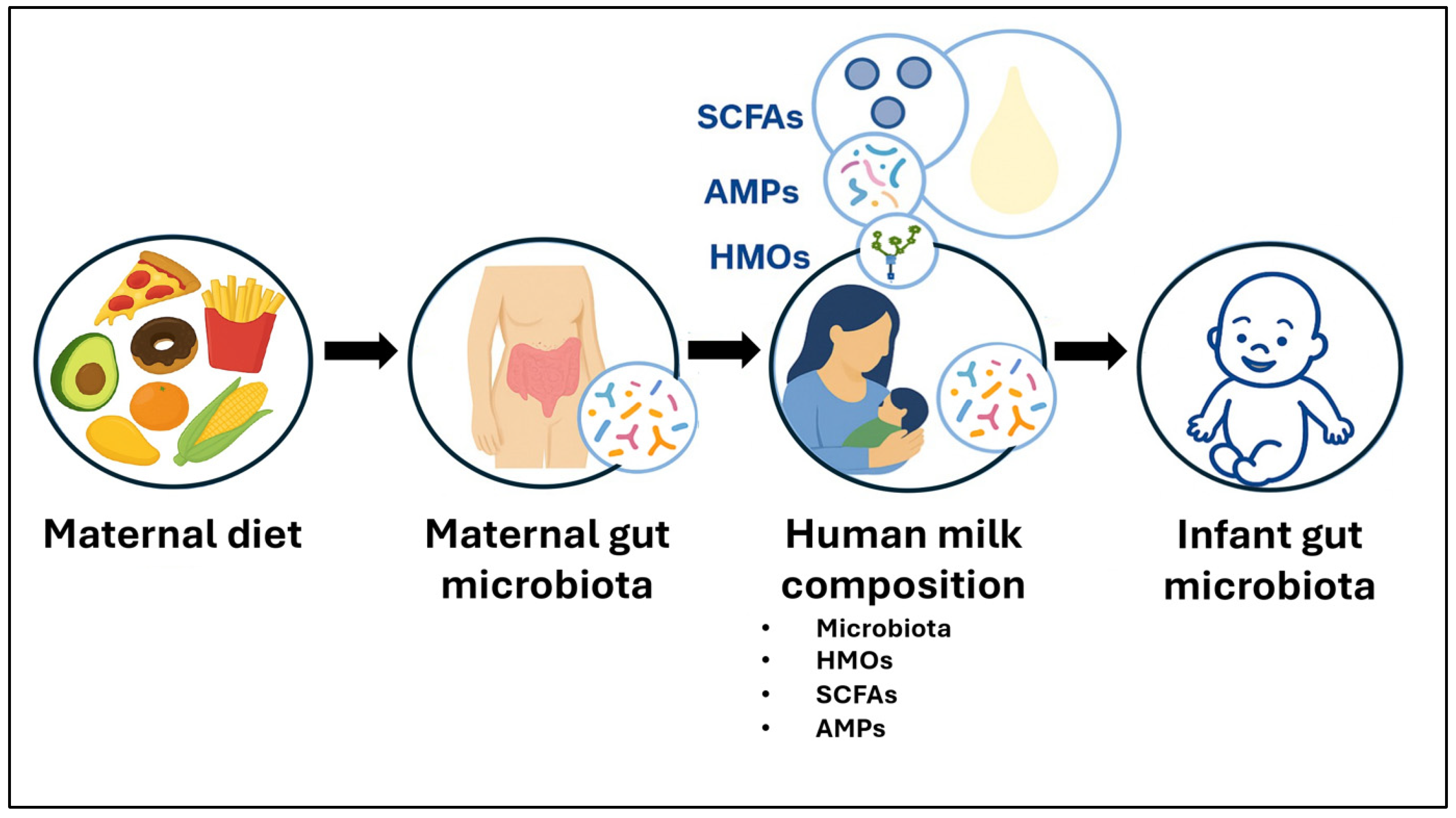 Microorganisms 13 02347 g001