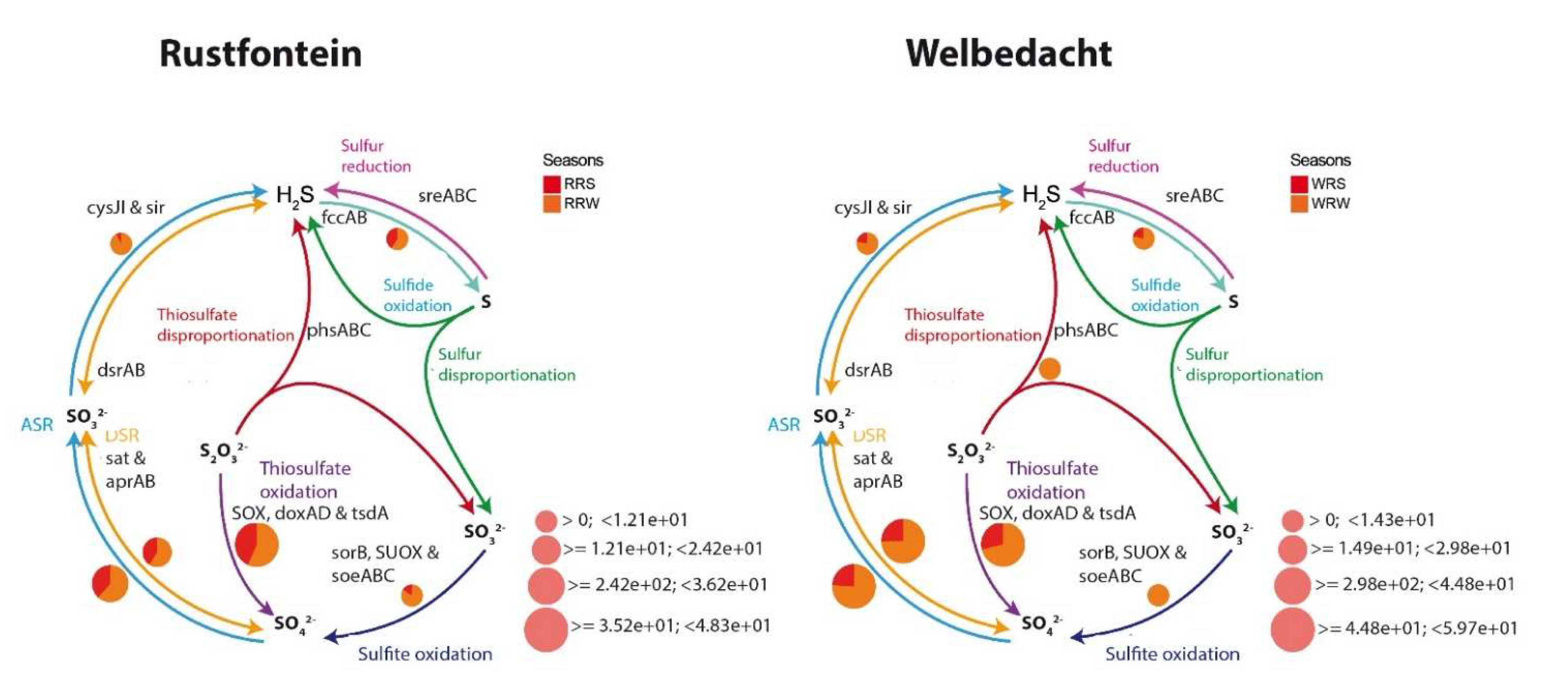 Microorganisms 13 02349 g004