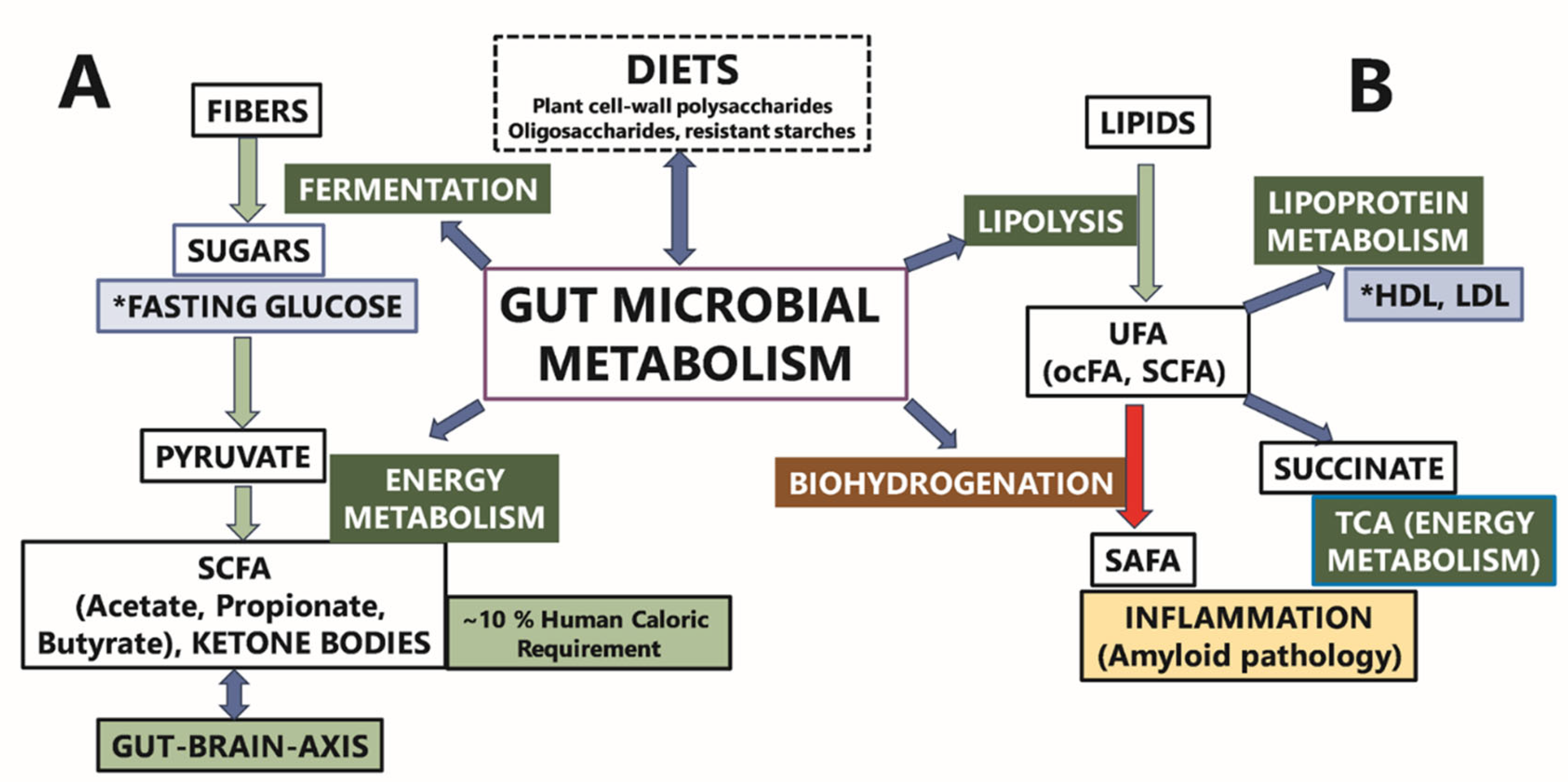 Microorganisms 13 02350 g007