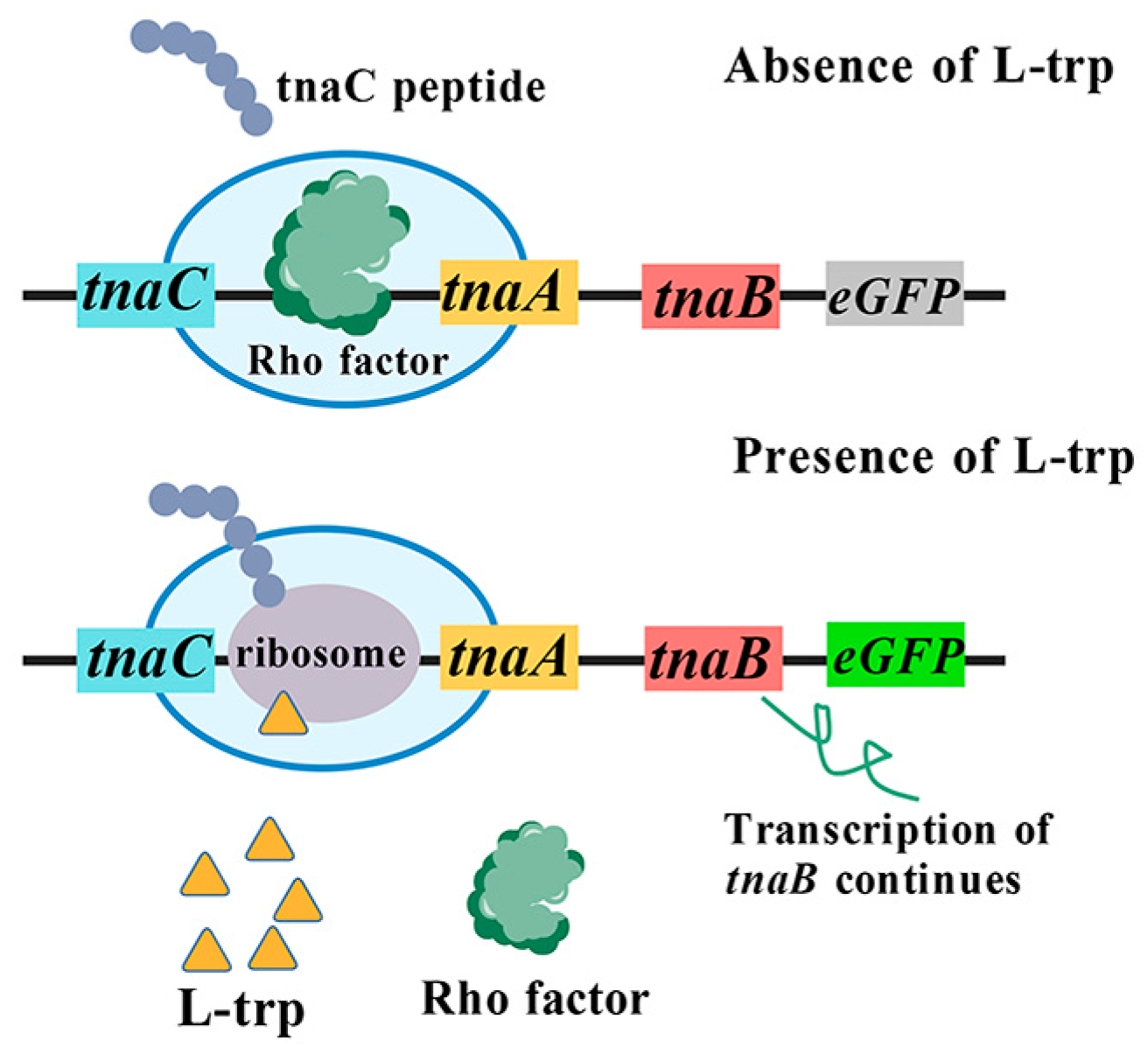 Microorganisms 13 02358 g002