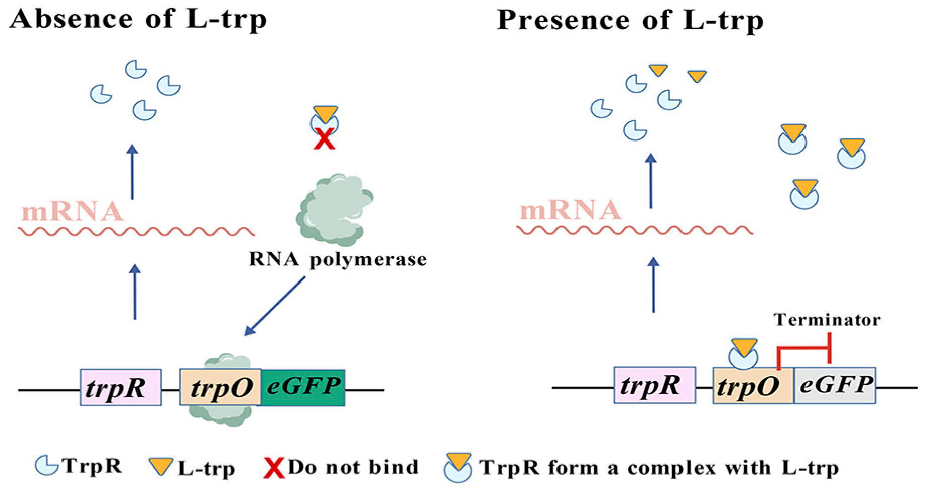 Microorganisms 13 02358 g004