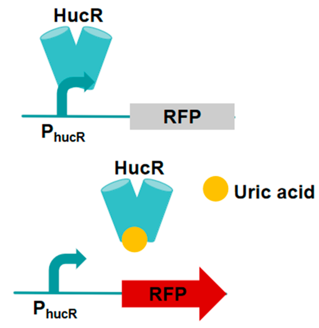 Microorganisms 13 02358 g005
