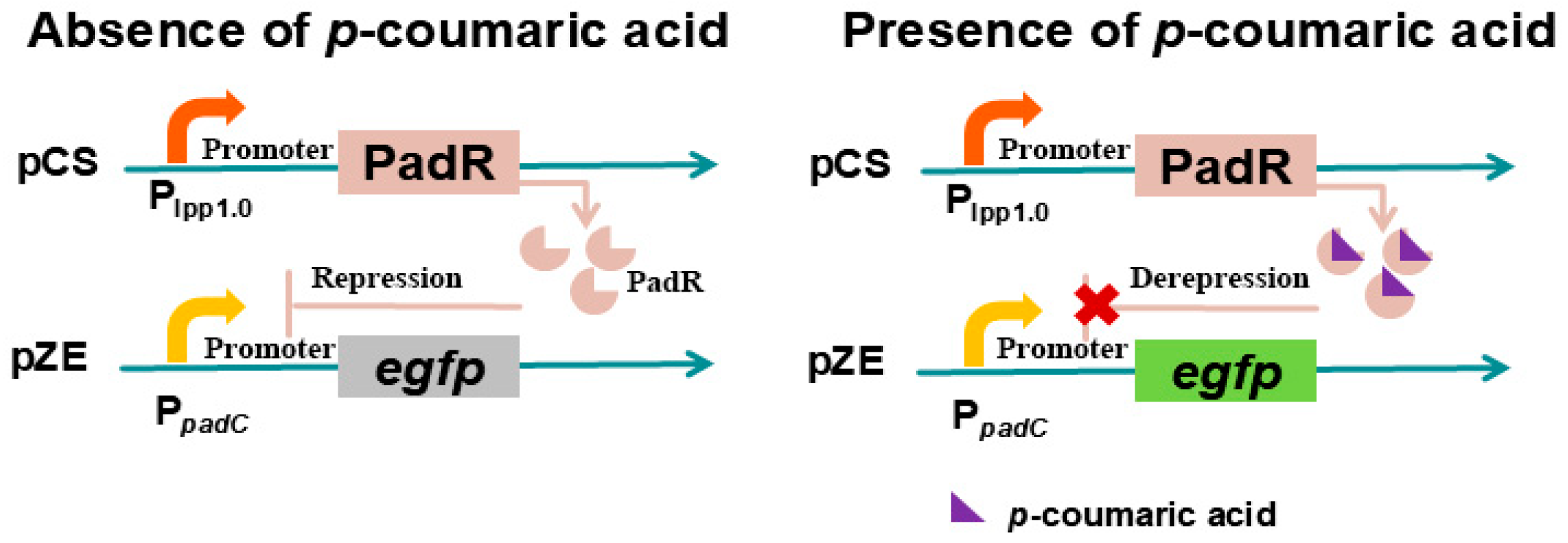 Microorganisms 13 02358 g006
