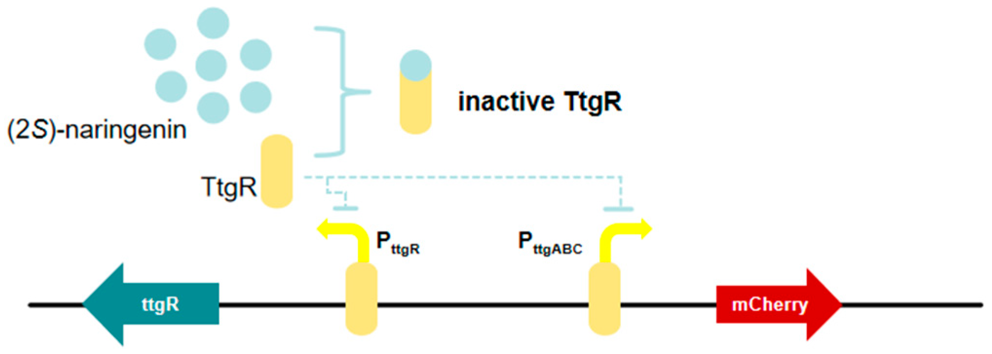Microorganisms 13 02358 g007