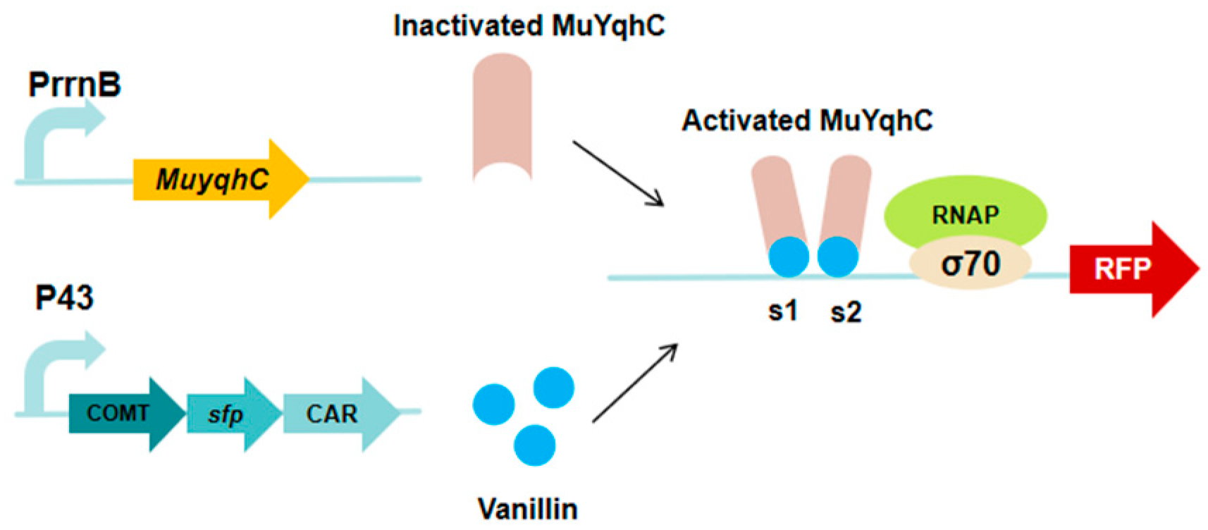 Microorganisms 13 02358 g008