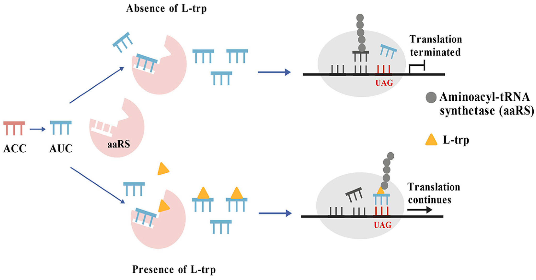 Microorganisms 13 02358 g009