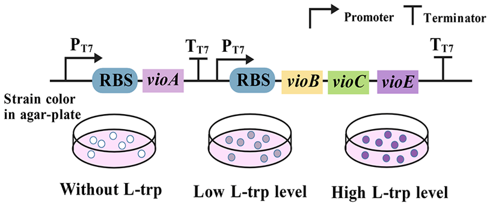 Microorganisms 13 02358 g010