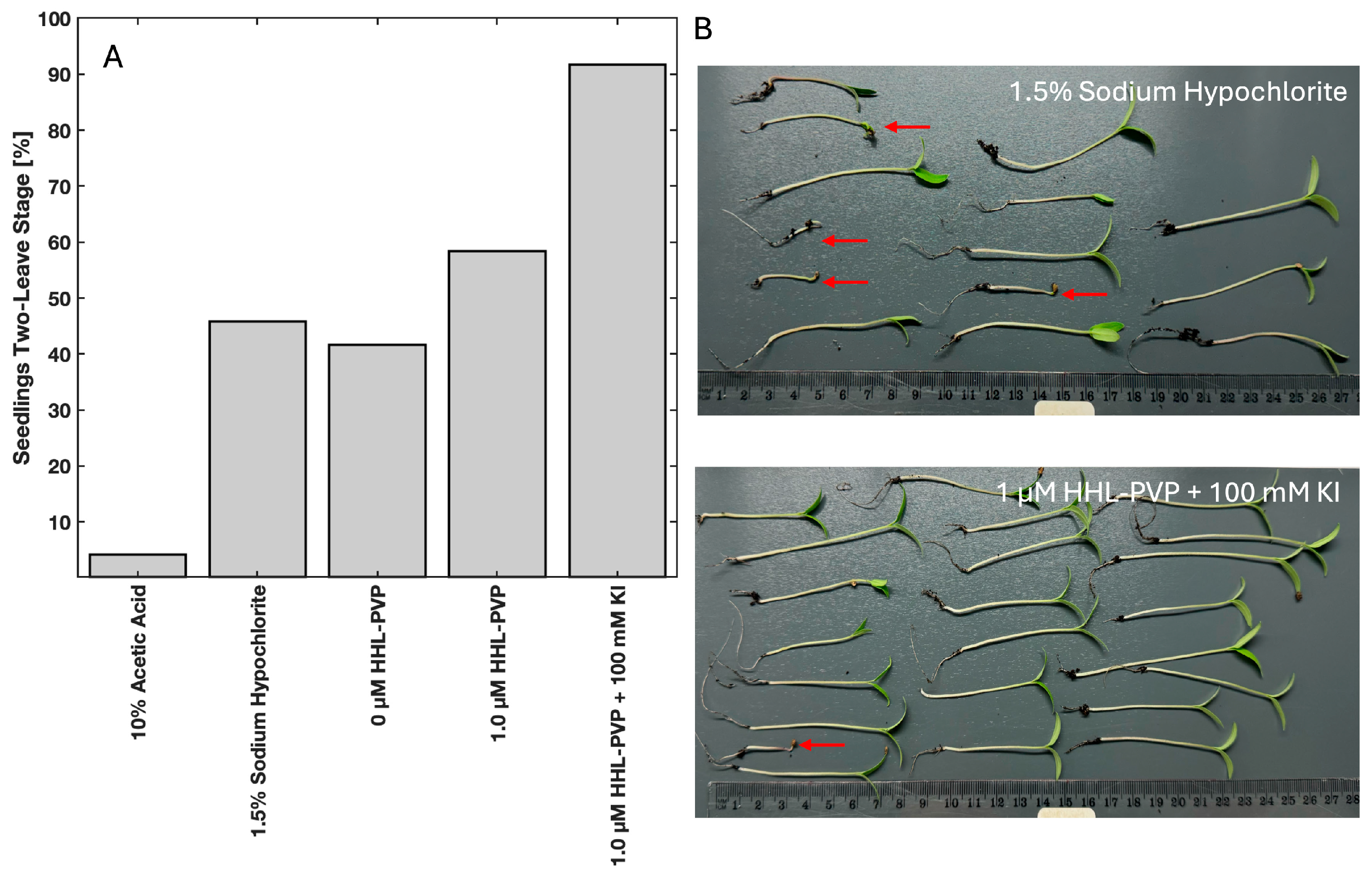 Microorganisms 13 02360 g006