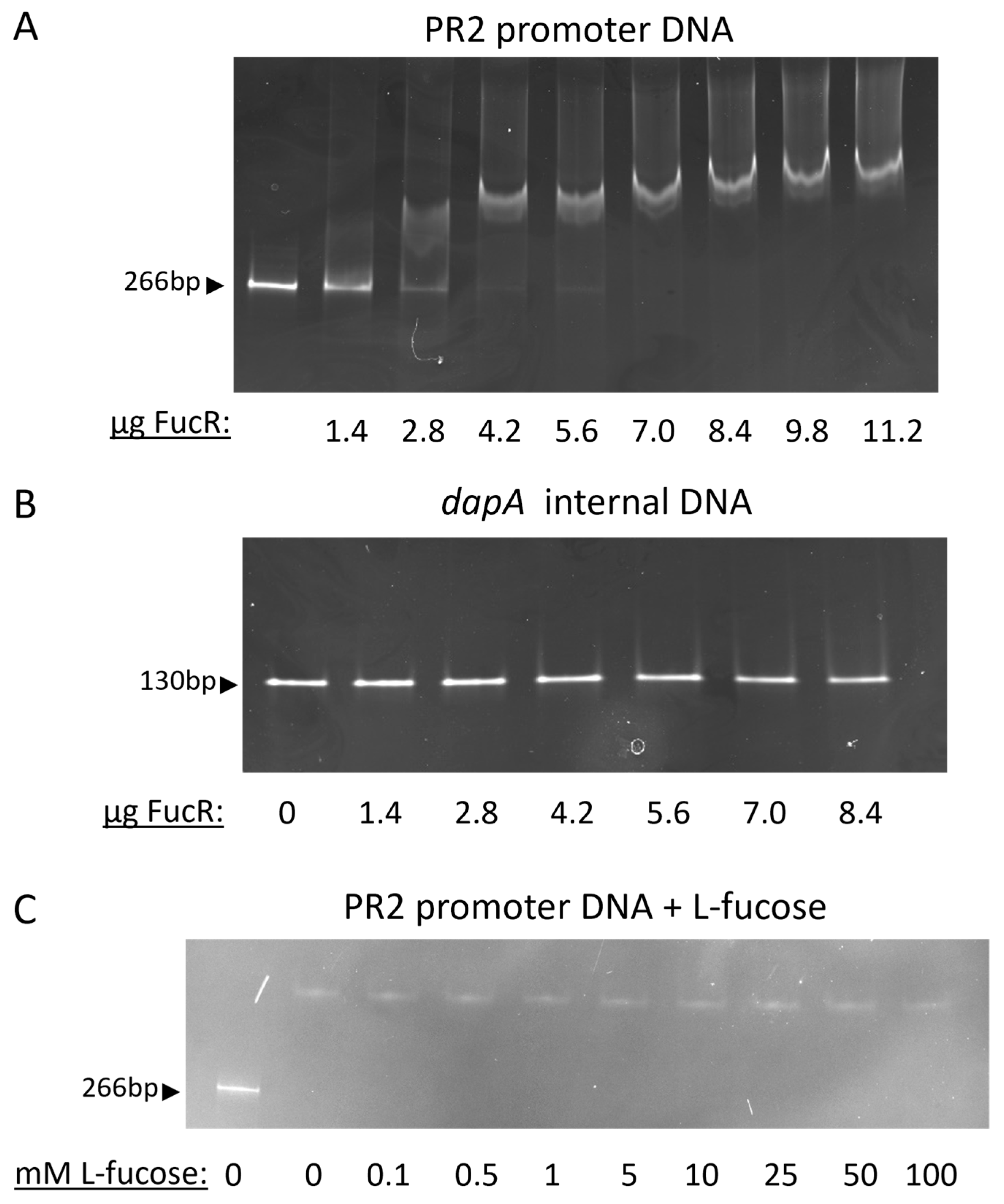 Microorganisms 13 02364 g003 Microorganisms 13 02364 g003