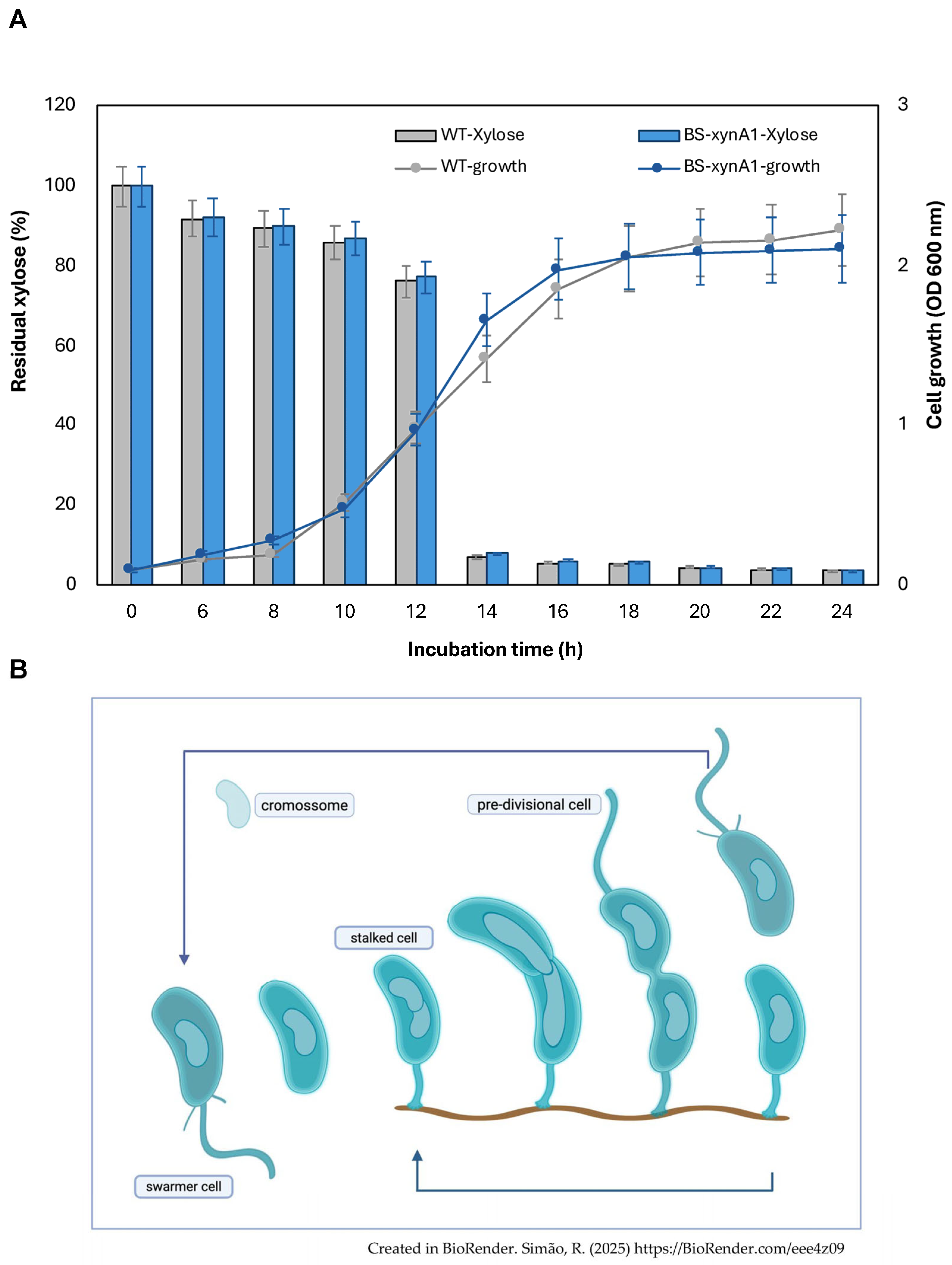 Microorganisms 13 02367 g002 Microorganisms 13 02367 g002