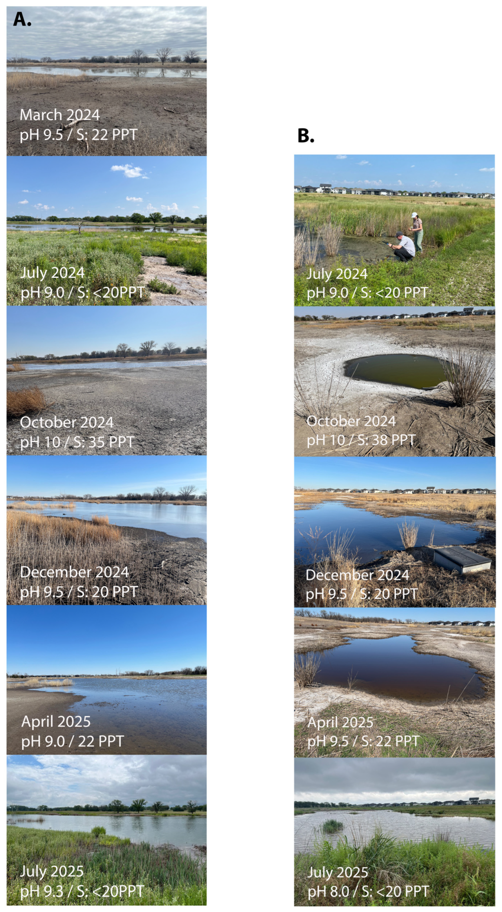 Microorganisms 13 02369 g001