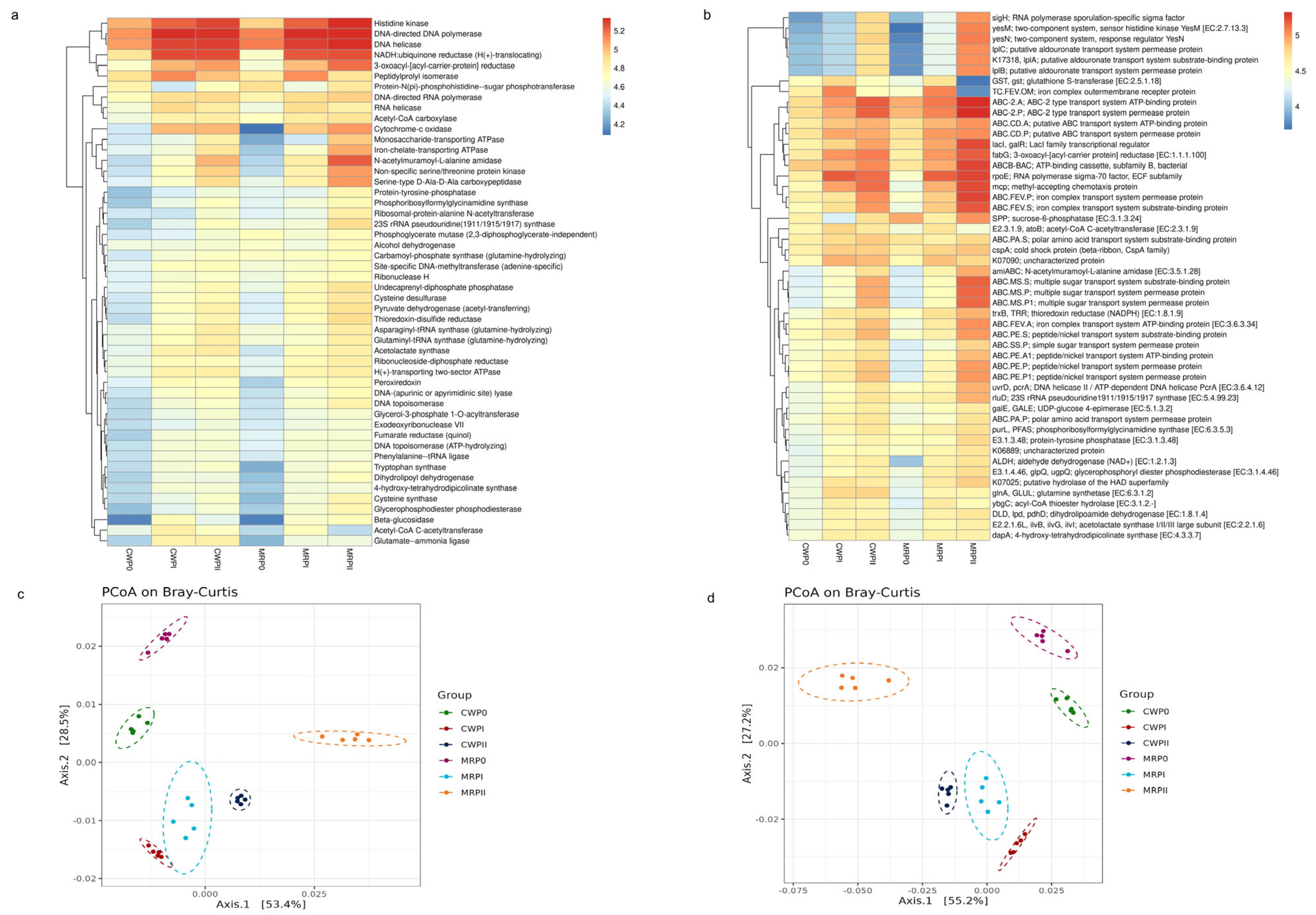 Microorganisms 13 02372 g005 Microorganisms 13 02372 g005