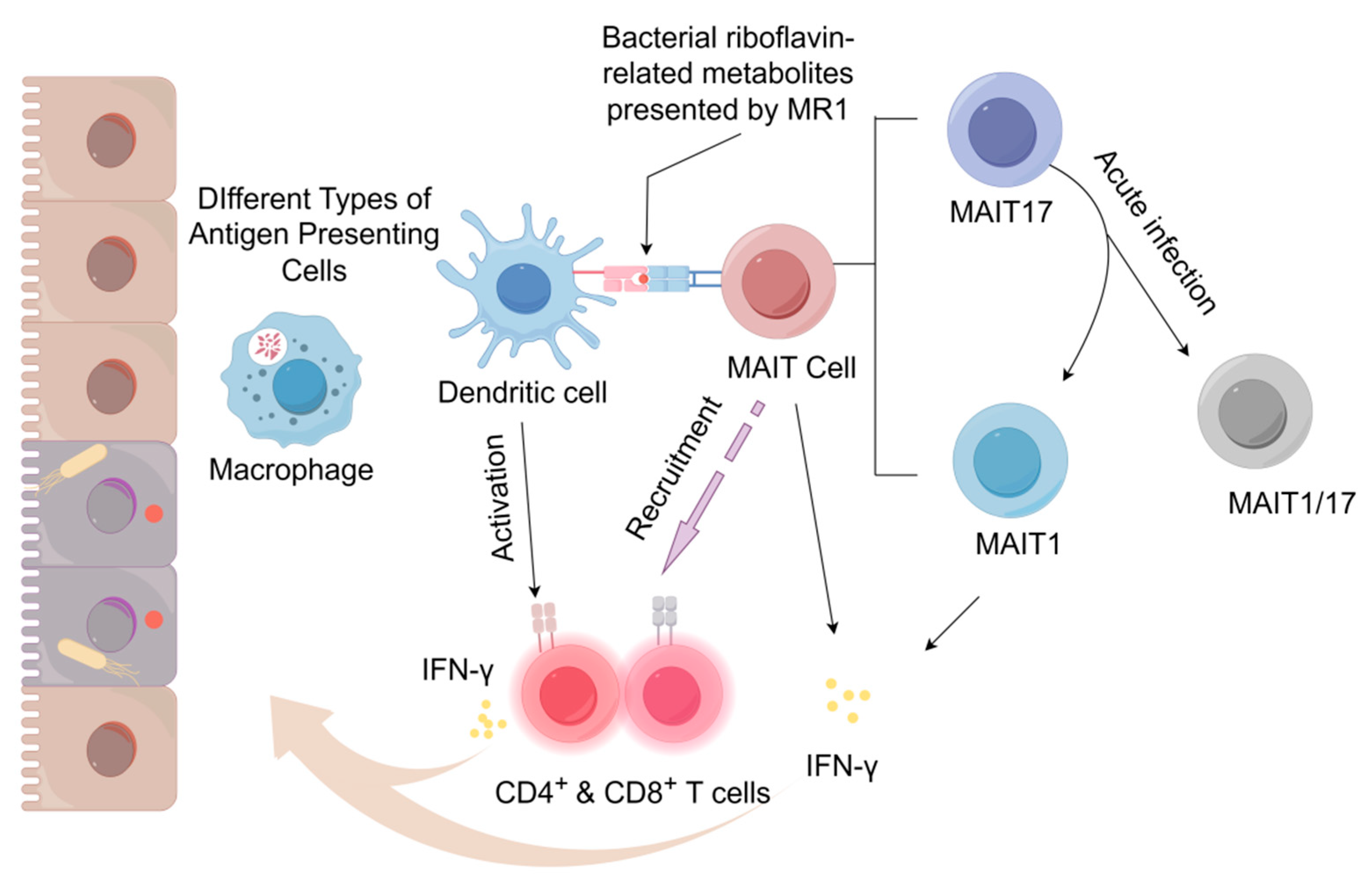 Microorganisms 13 02374 g001 Microorganisms 13 02374 g001