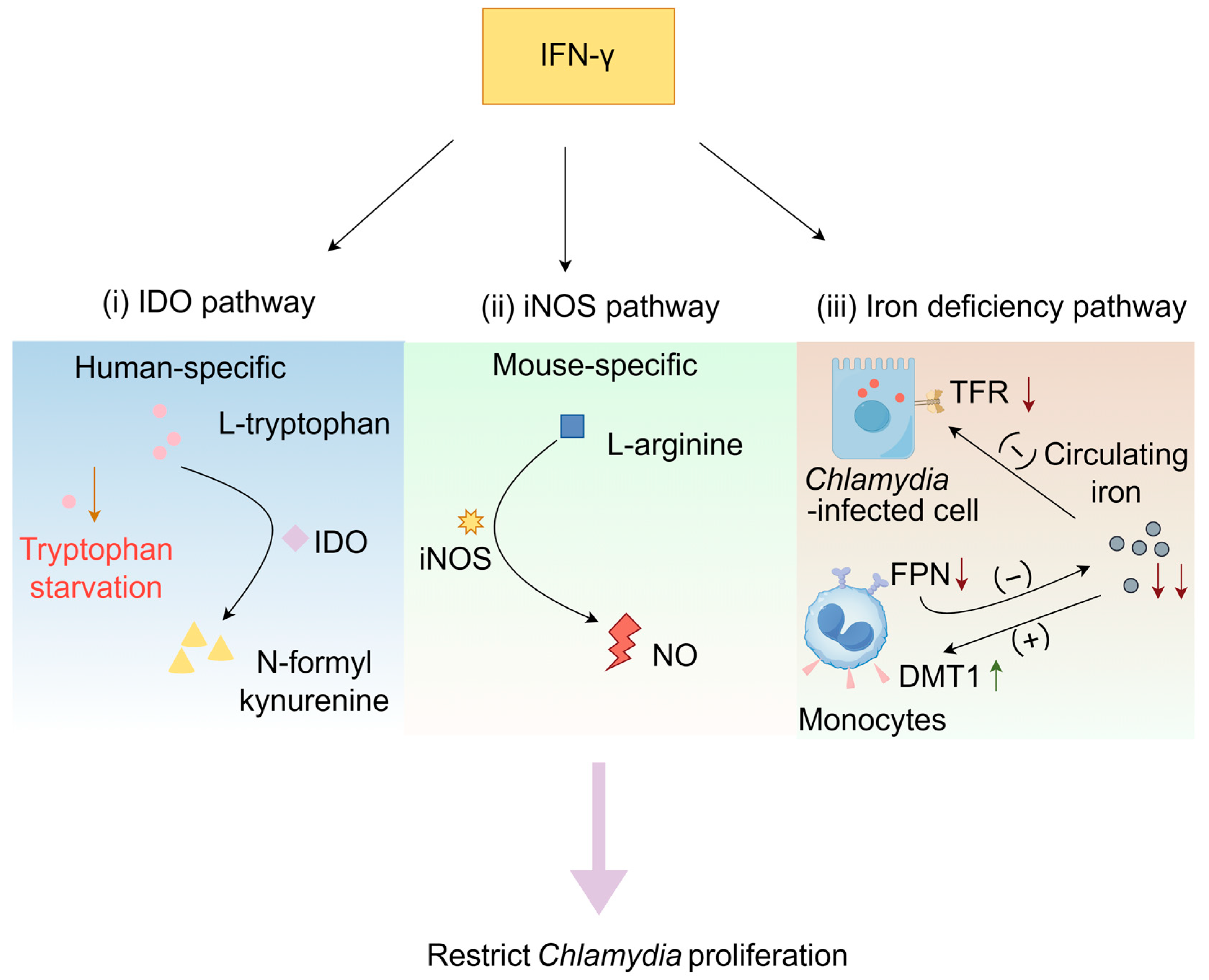 Microorganisms 13 02374 g002 Microorganisms 13 02374 g002