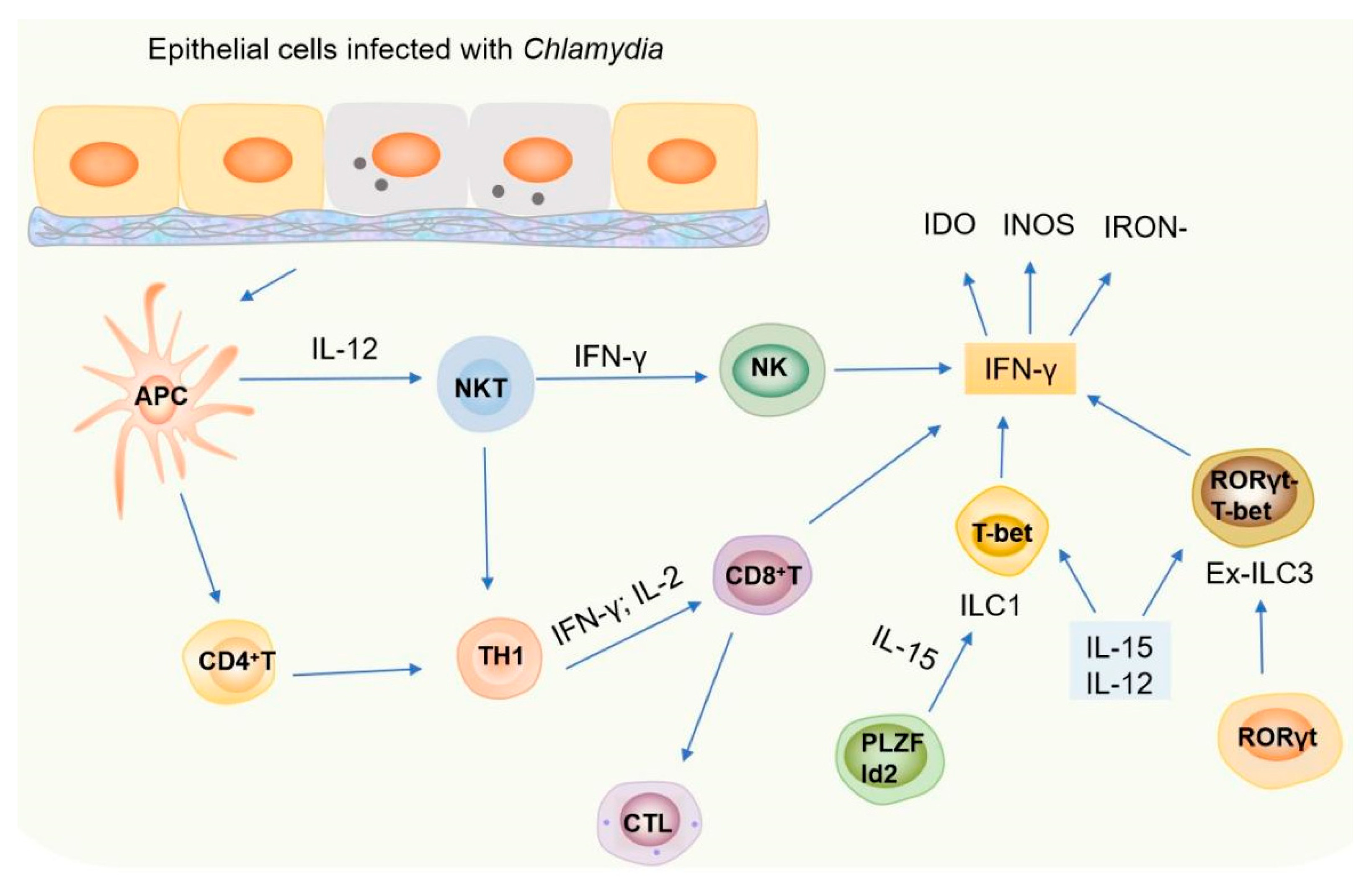 Microorganisms 13 02374 g003 Microorganisms 13 02374 g003