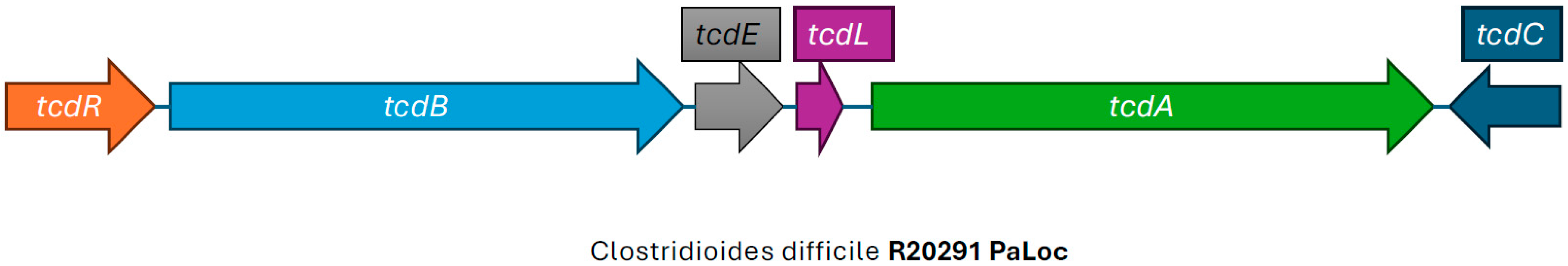 Microorganisms 13 02376 g002 Microorganisms 13 02376 g002